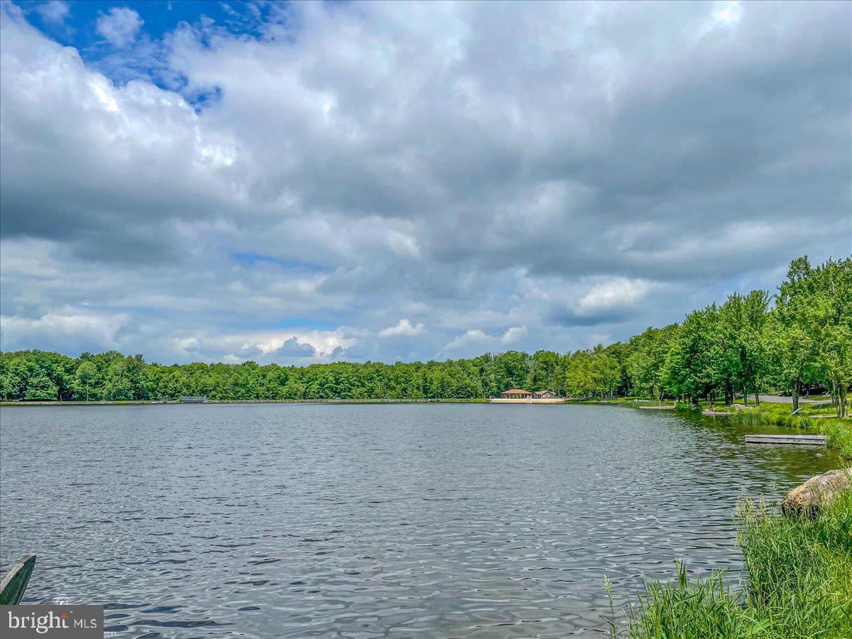157 Selig Road Pocono Lake, PA 18347 - Photo 59 of 74
