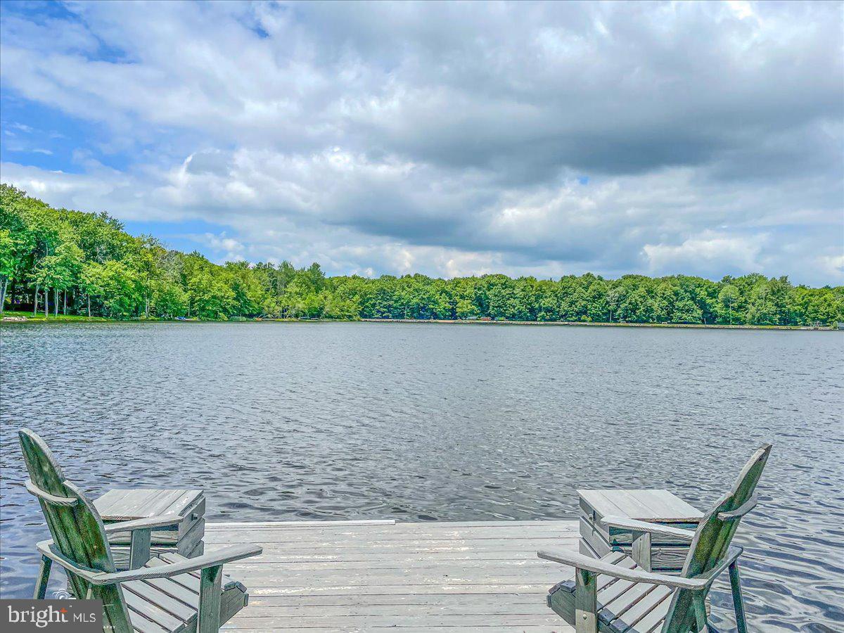 157 Selig Road Pocono Lake, PA 18347 - Photo 60 of 74