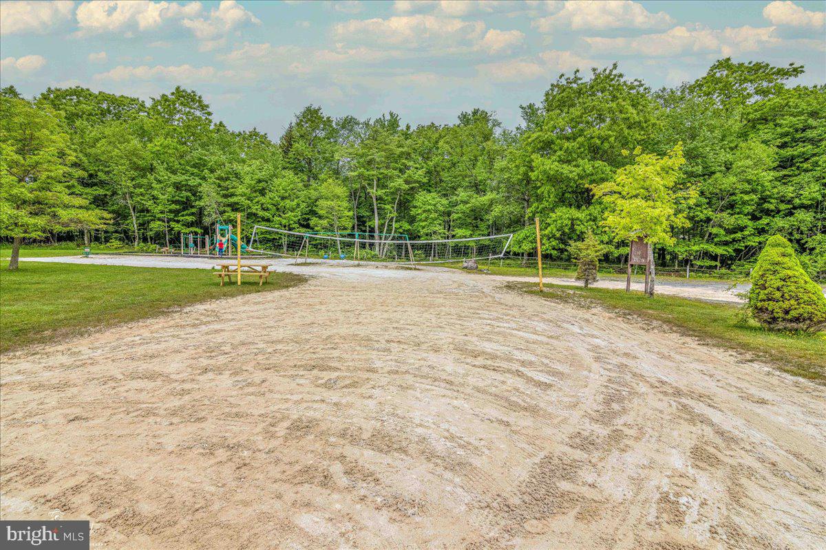 157 Selig Road Pocono Lake, PA 18347 - Photo 61 of 74