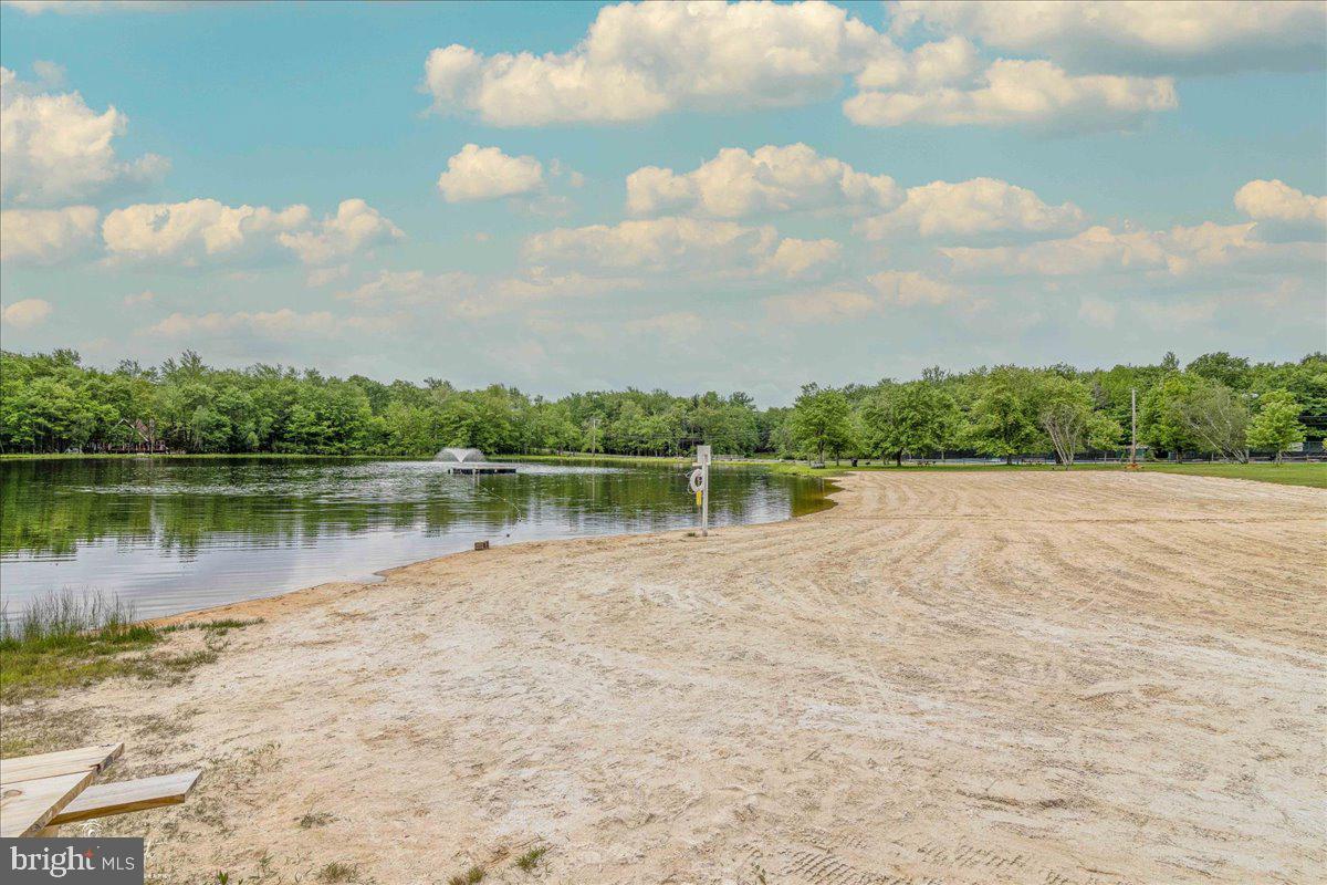 157 Selig Road Pocono Lake, PA 18347 - Photo 63 of 74