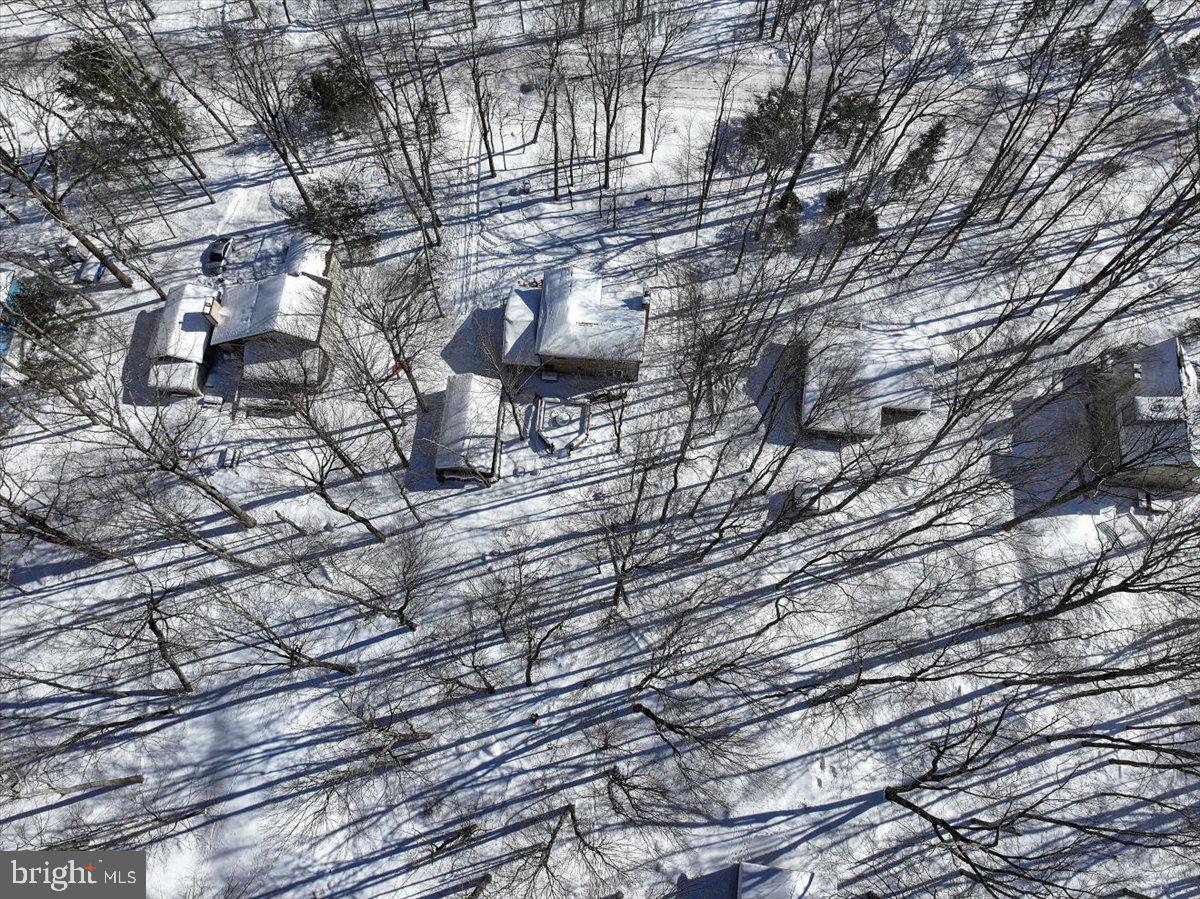 157 Selig Road Pocono Lake, PA 18347 - Photo 65 of 74