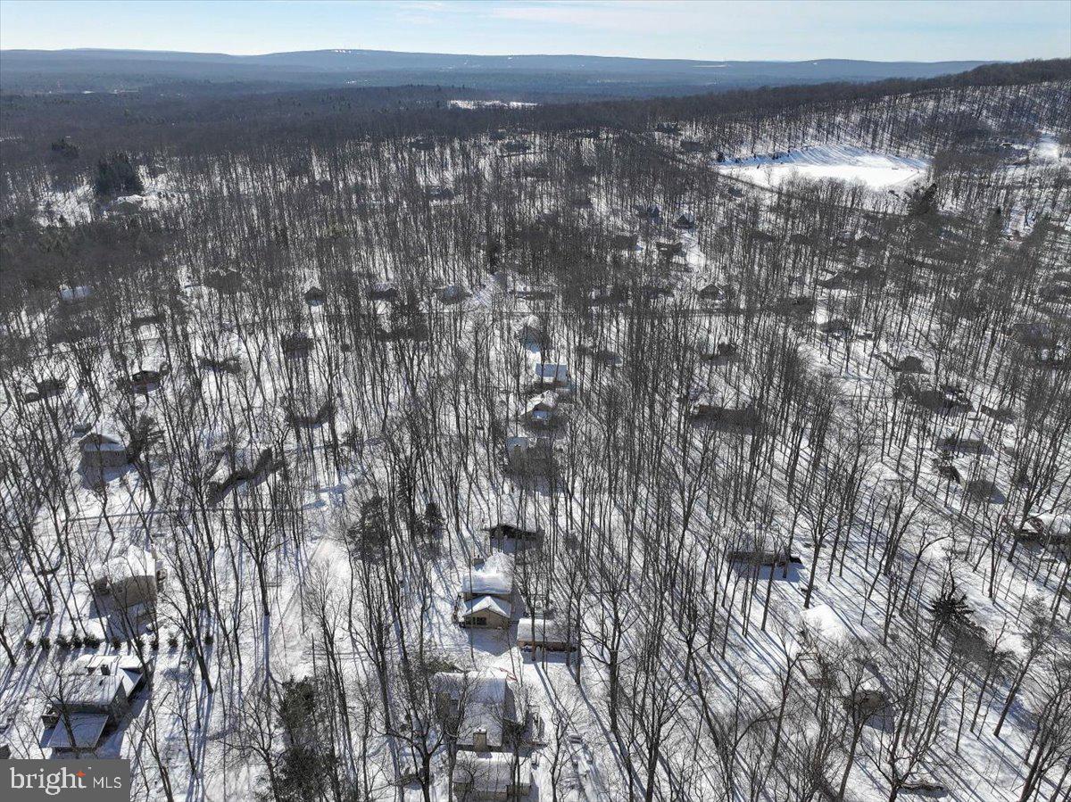 157 Selig Road Pocono Lake, PA 18347 - Photo 66 of 74