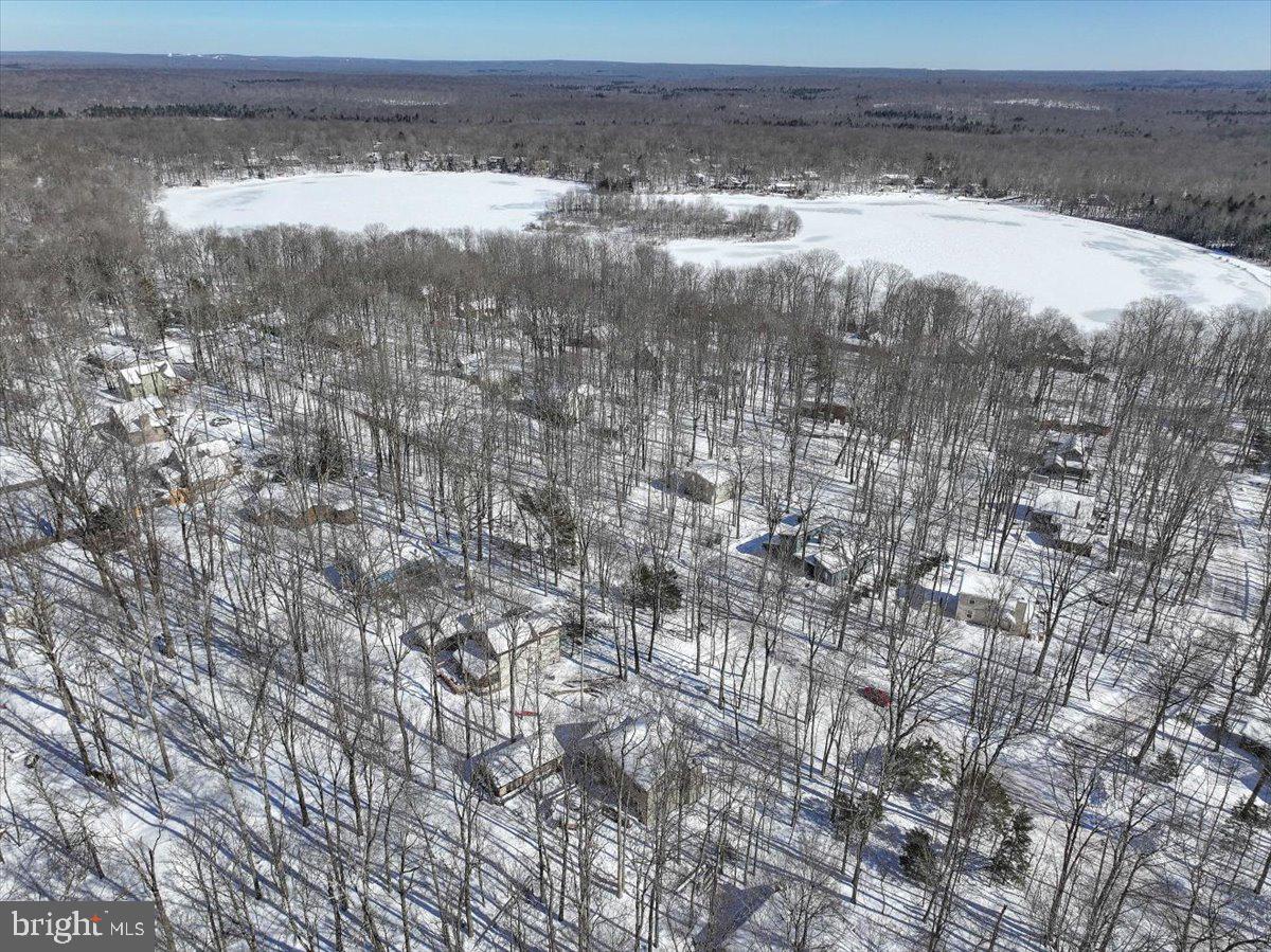 157 Selig Road Pocono Lake, PA 18347 - Photo 67 of 74