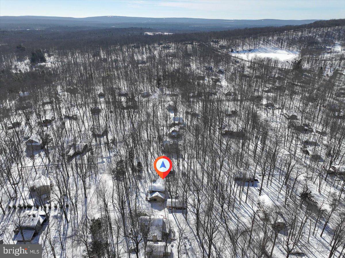 157 Selig Road Pocono Lake, PA 18347 - Photo 68 of 74