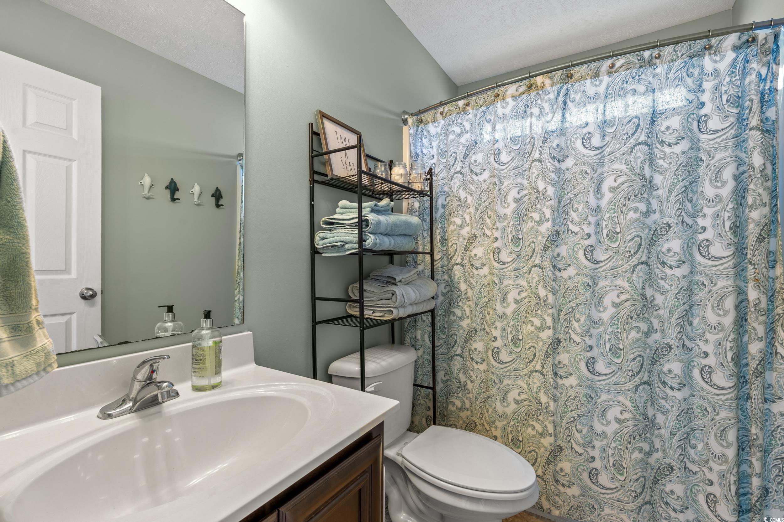 166 Woodland Park Loop Murrells Inlet, SC 29576 - Photo 18 of 39 Bathroom with vanity, a textured ceiling, vaulted