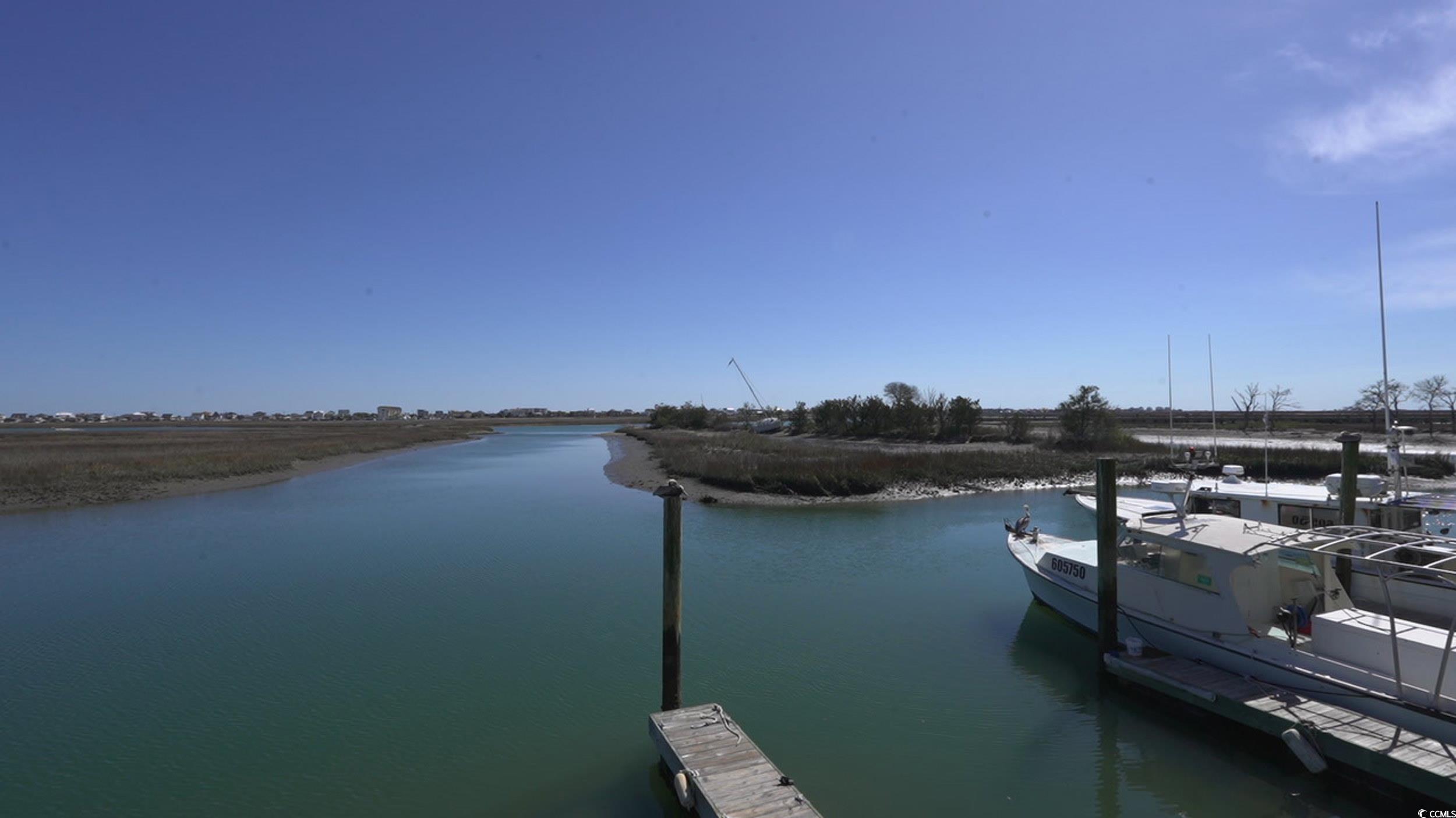 166 Woodland Park Loop Murrells Inlet, SC 29576 - Photo 36 of 39 View of dock featuring a water view