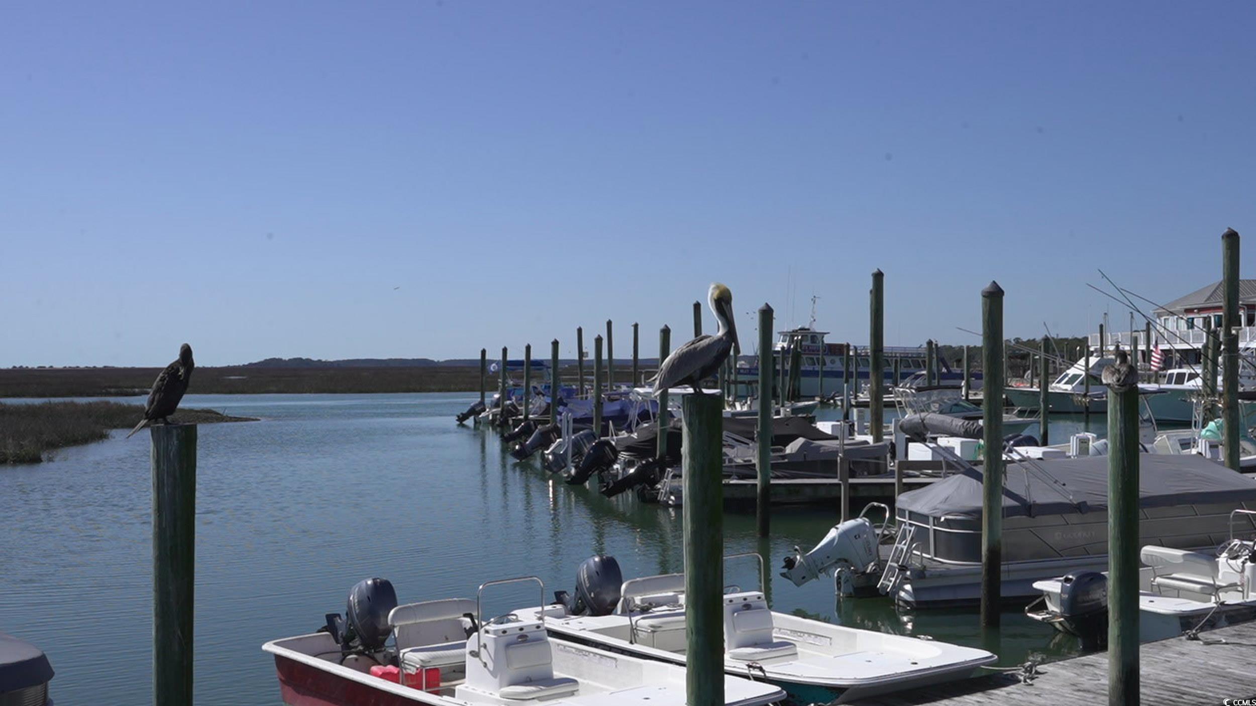166 Woodland Park Loop Murrells Inlet, SC 29576 - Photo 38 of 39 Dock area with a water view