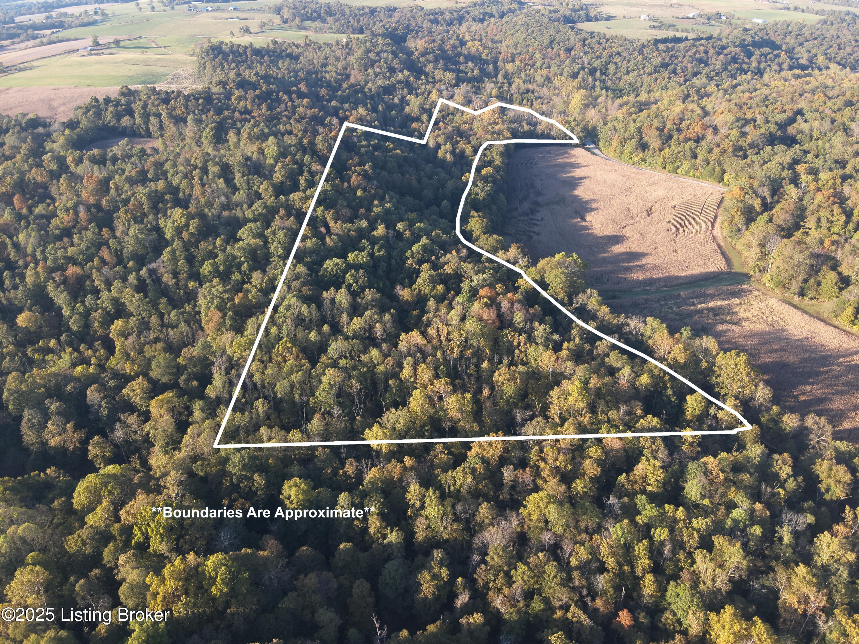 981 Limp Road Big Clifty, KY 42712 - Photo 36 of 44 DJI_20251012175842_00005_W