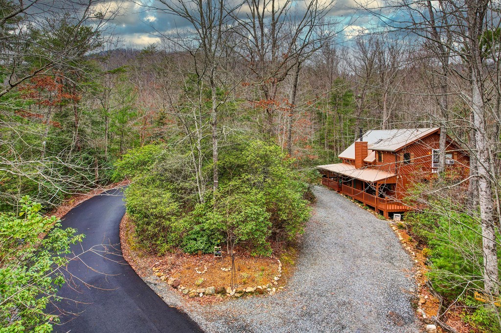 830 Harrison And Ada Road Blue Ridge, GA 30513 - Photo 3 of 51 Gallery Image 3