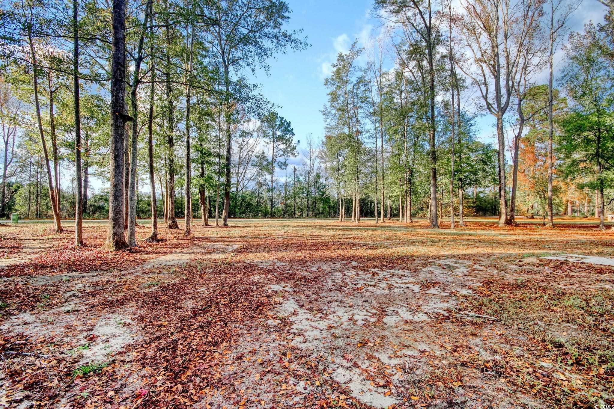 1409 Woodhaven Road Latta, SC 29565 - Photo 27 of 30 Gallery Image 27