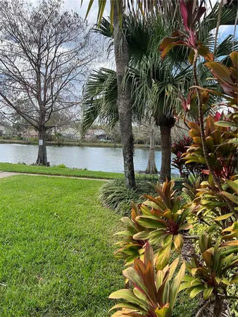 a view of a yard with a tree