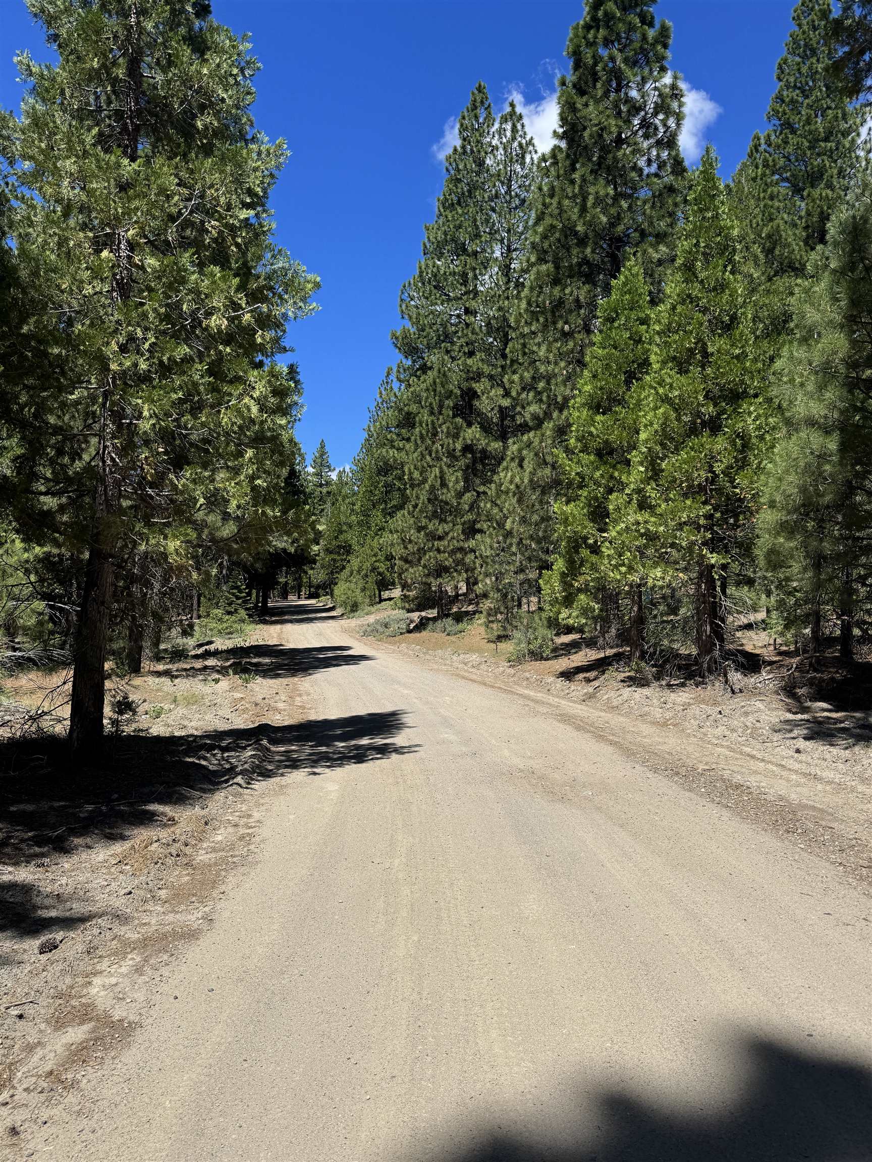 2245 Xanadu Road Clio, CA 96106 - Photo 3 of 43