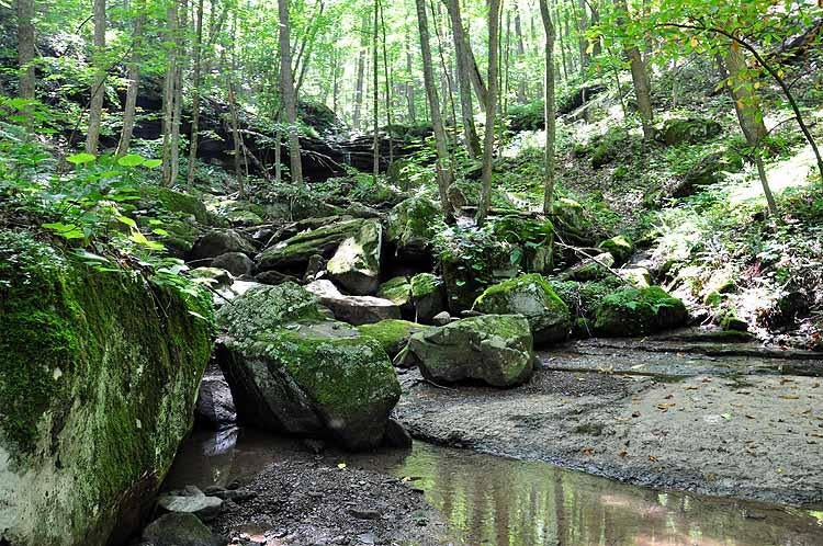 100 Ramp Road Sandstone, WV 25985 - Photo 31 of 55 Gallery Image 31
