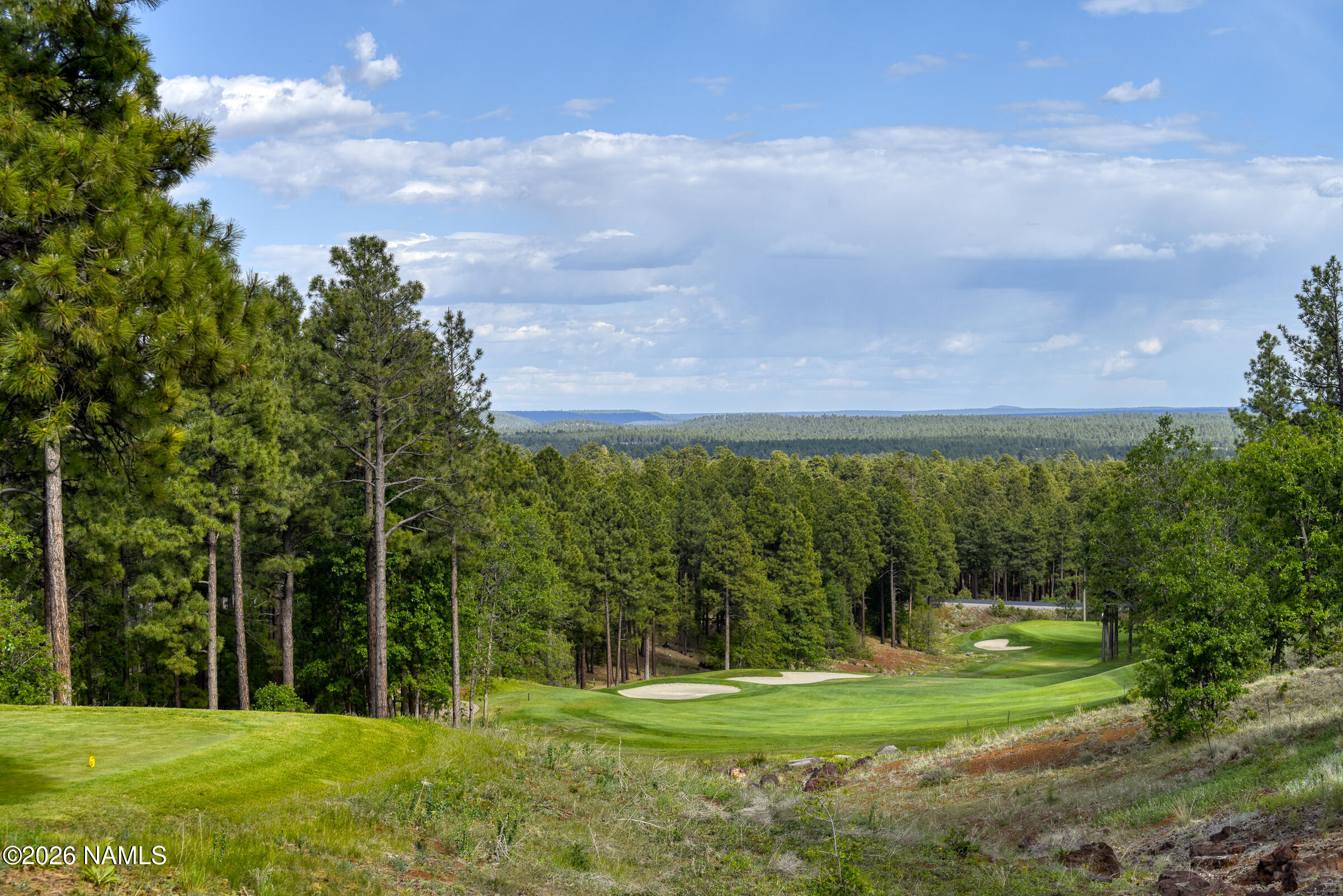 3495 West Lead Rope Flagstaff, AZ 86005 - Photo 44 of 49 a view of a park