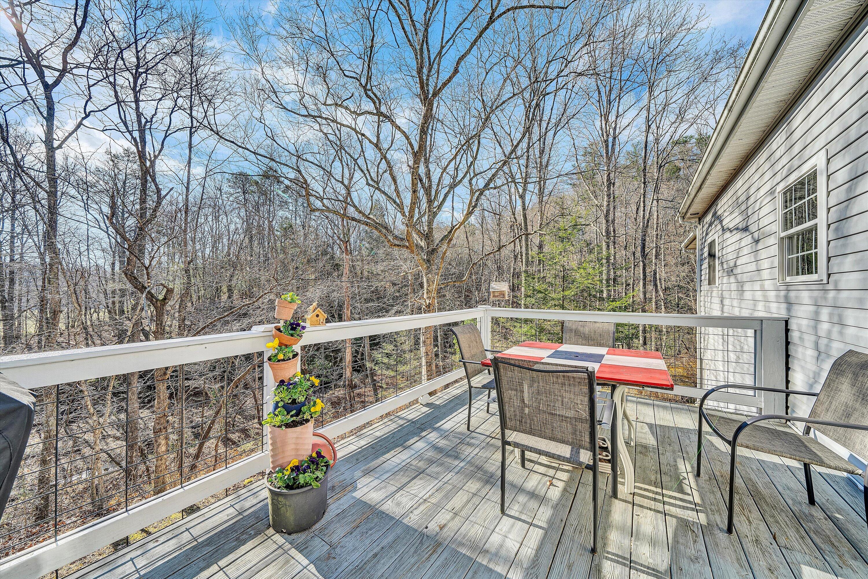 1164 Dry Hill Road Ferrum, VA 24088 - Photo 29 of 84 33-DSC00061