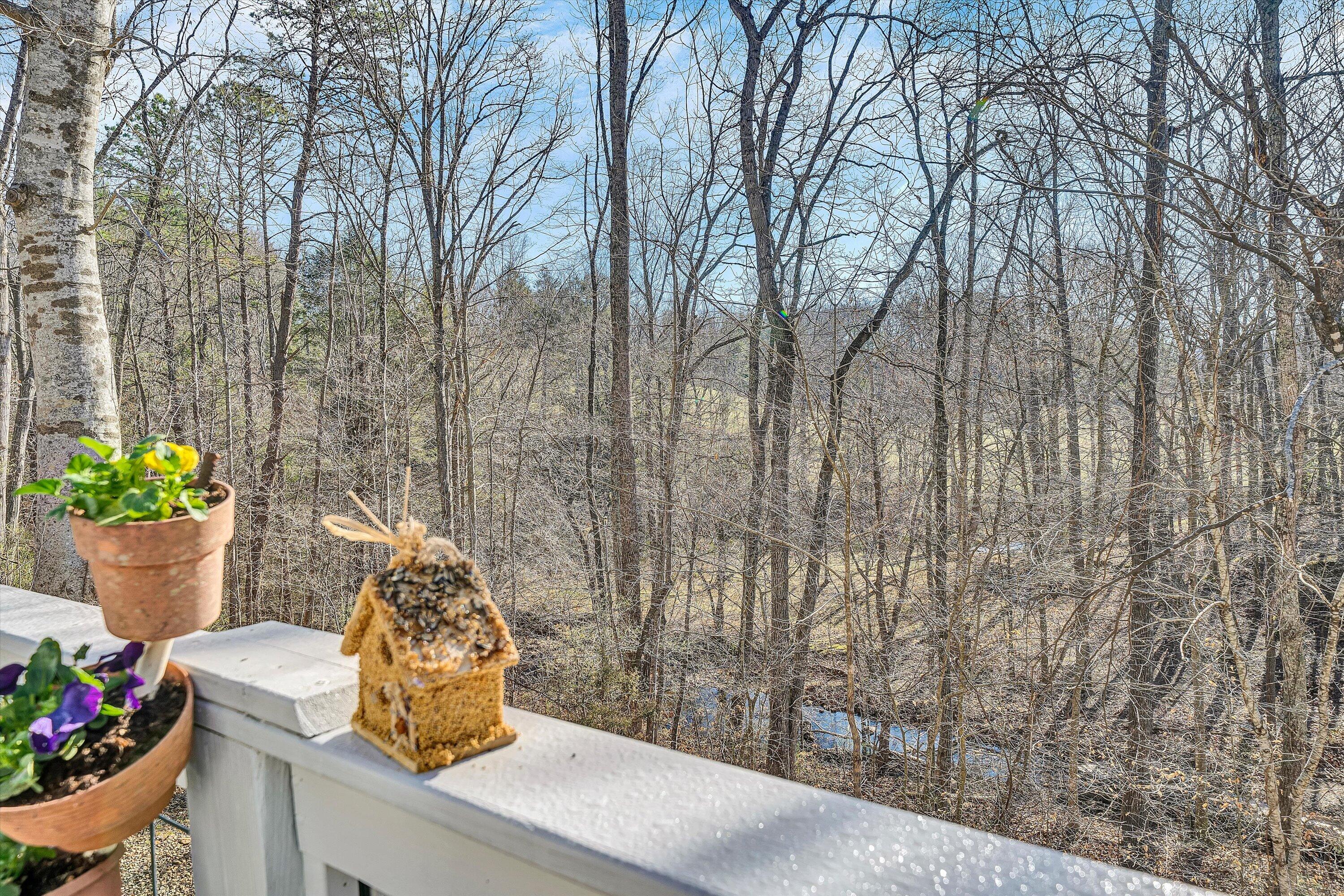 1164 Dry Hill Road Ferrum, VA 24088 - Photo 30 of 84 34-DSC00071