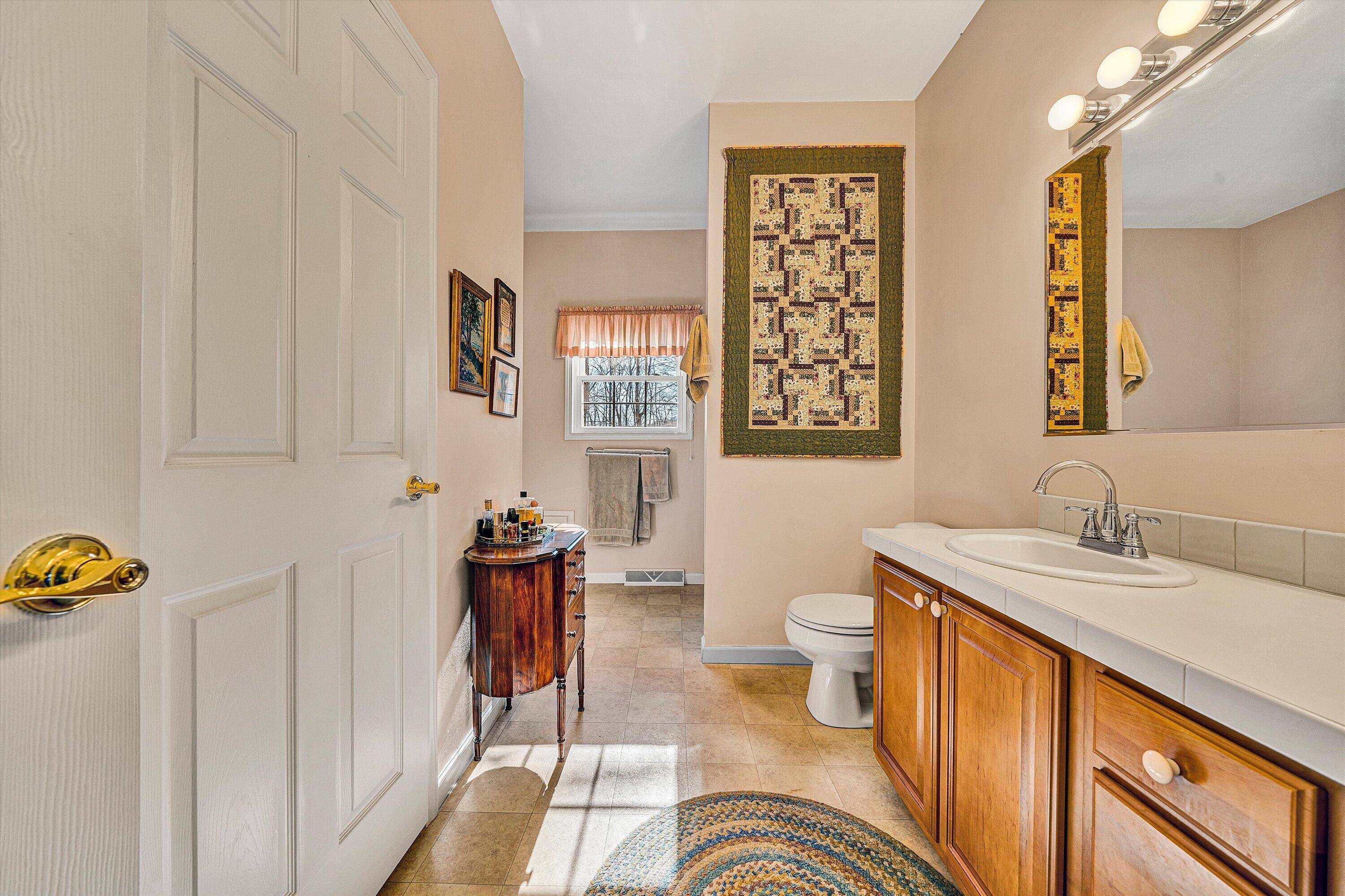 1164 Dry Hill Road Ferrum, VA 24088 - Photo 34 of 84 a bathroom with a sink a toilet and a shower