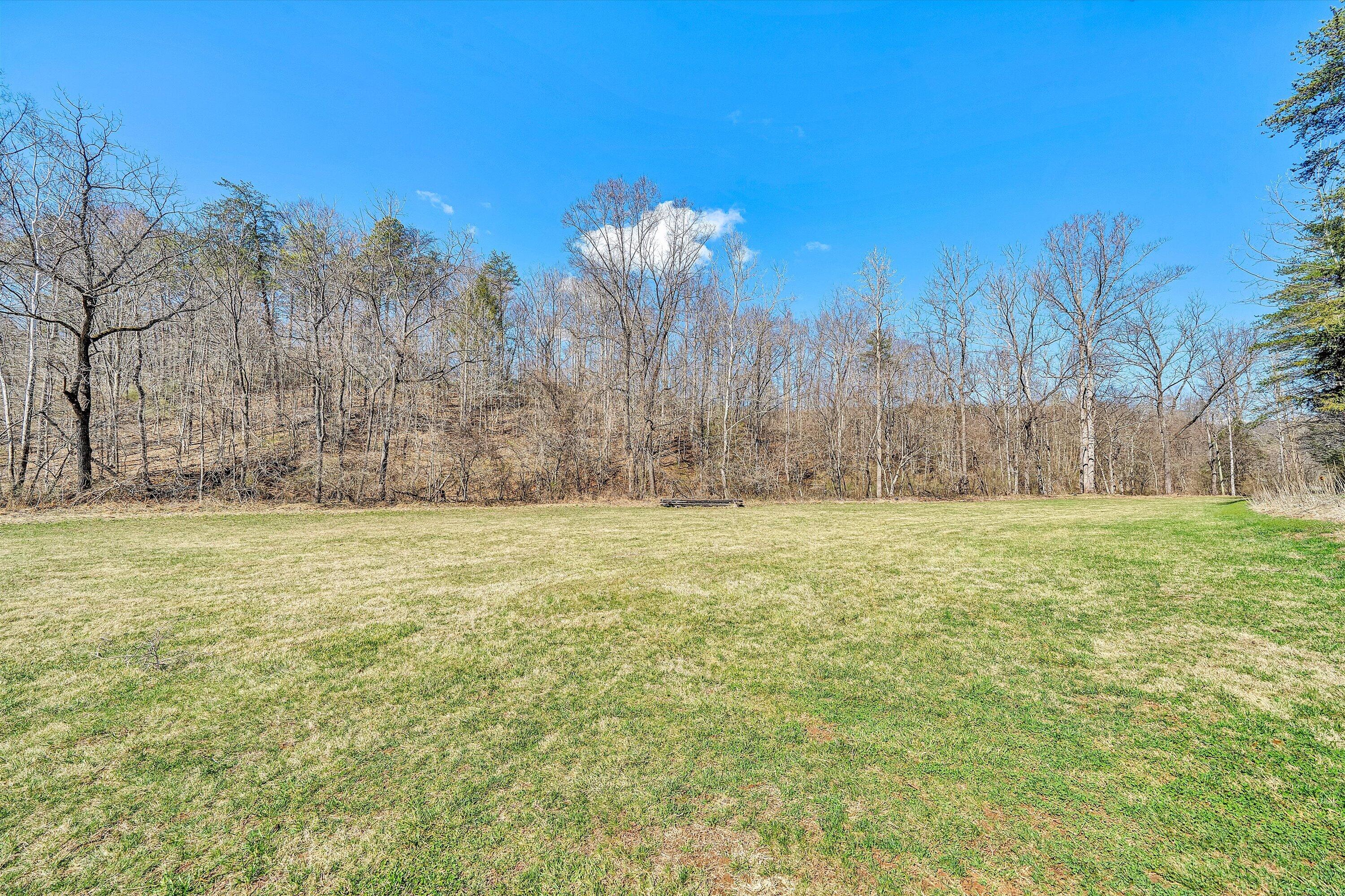 1164 Dry Hill Road Ferrum, VA 24088 - Photo 66 of 84 a view of a yard with palm trees