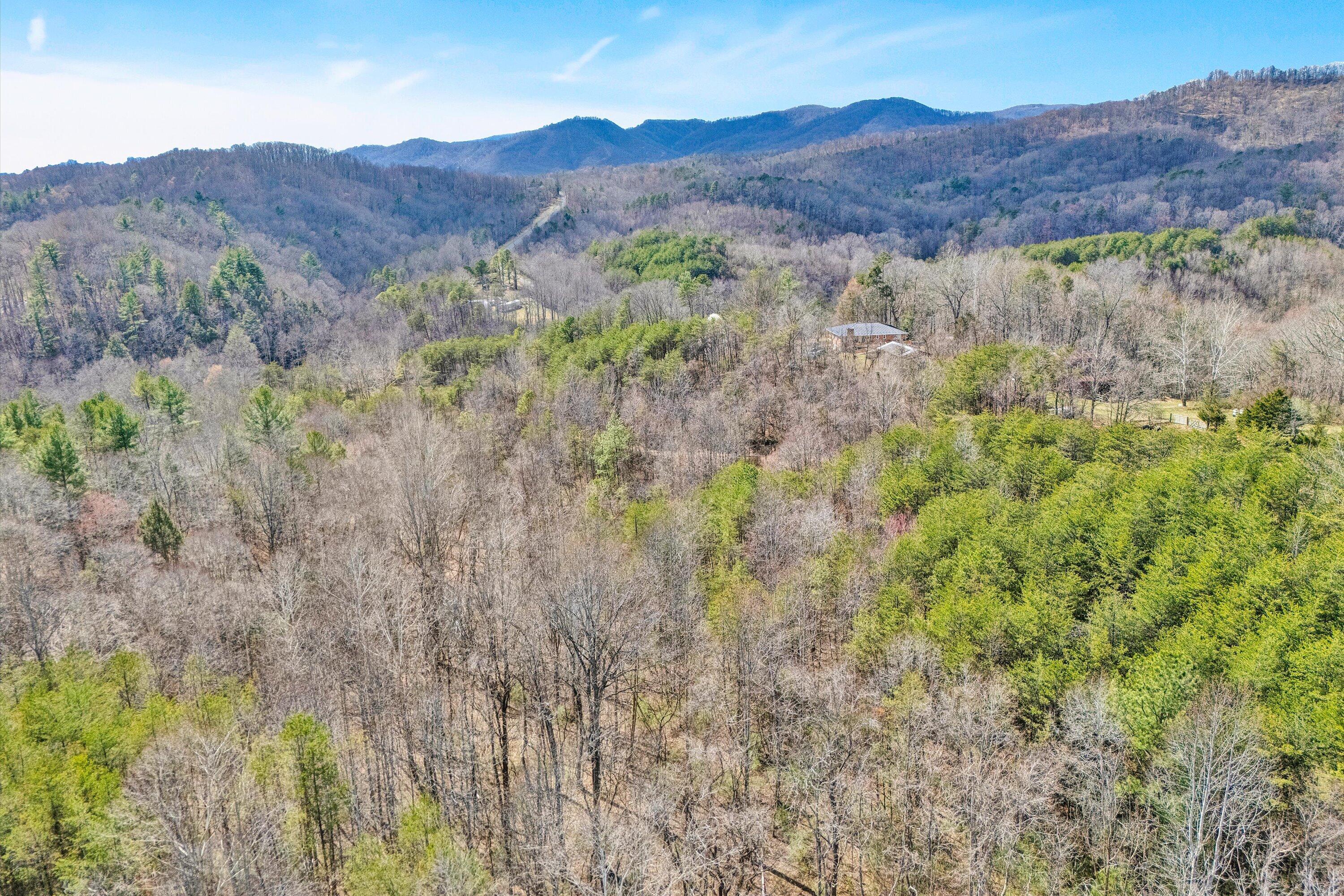 1164 Dry Hill Road Ferrum, VA 24088 - Photo 67 of 84 a view of a lush green hillside and a houses