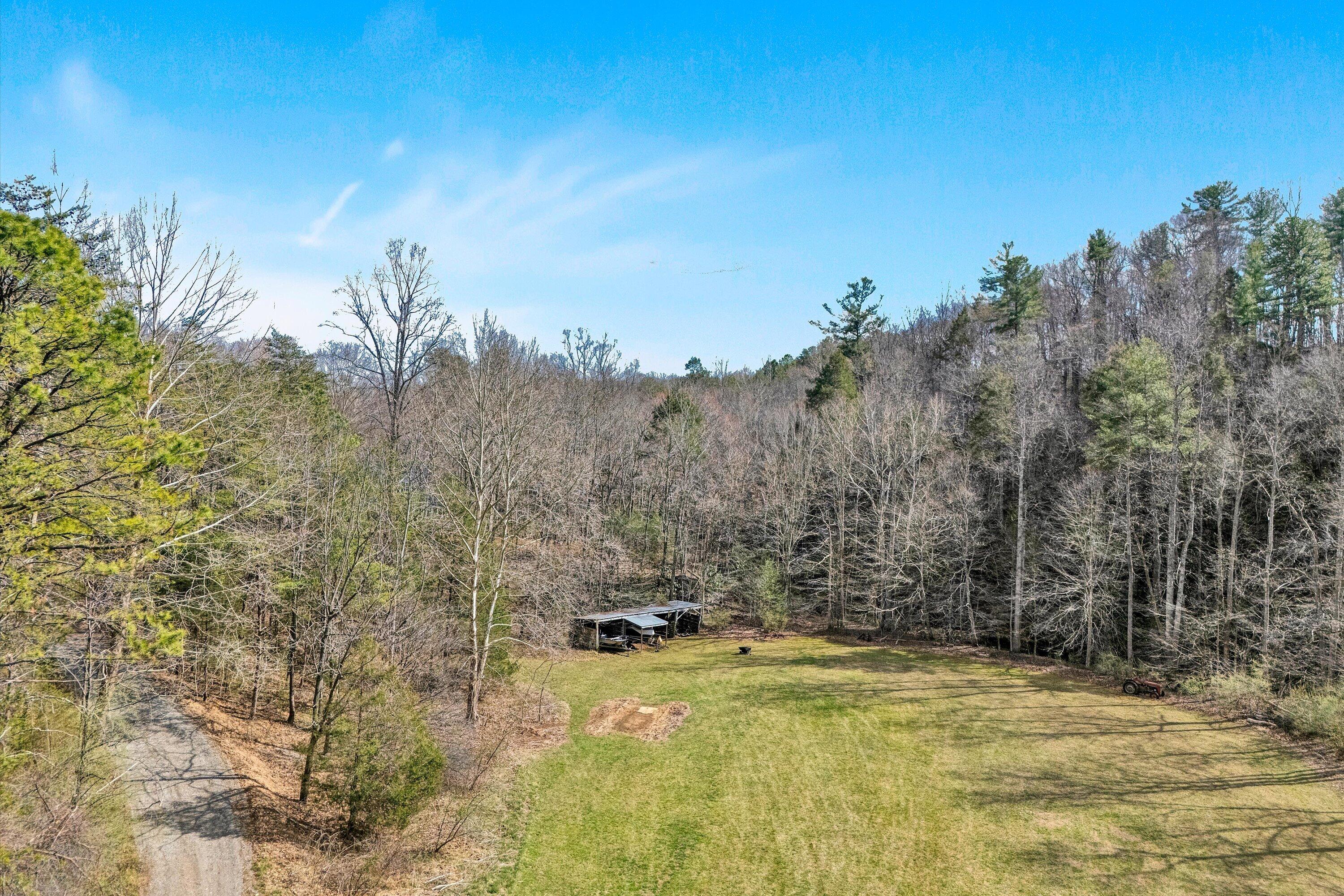 1164 Dry Hill Road Ferrum, VA 24088 - Photo 74 of 84 a view of yard with swimming pool and trees