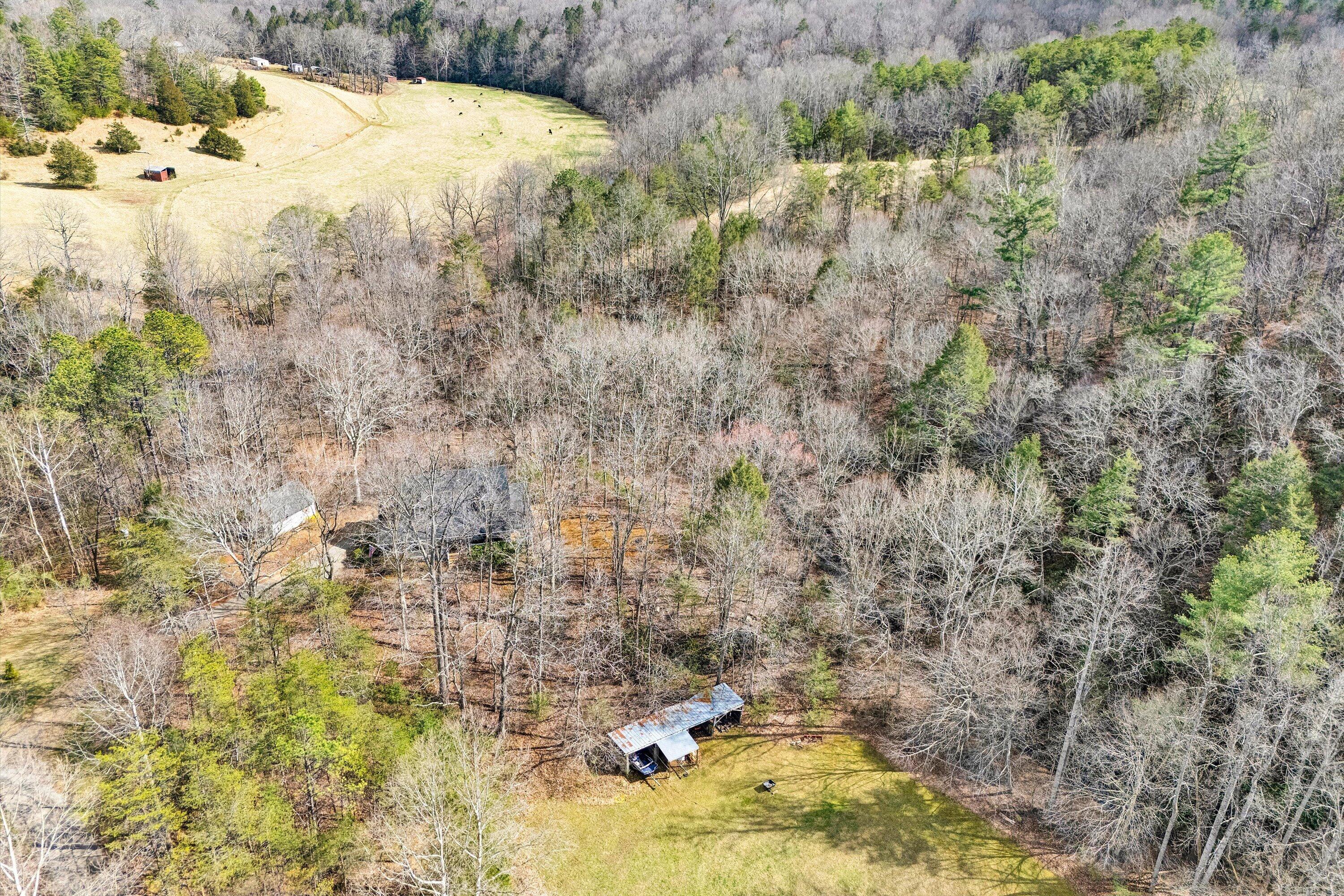 1164 Dry Hill Road Ferrum, VA 24088 - Photo 79 of 84 a view of a yard covered with snow