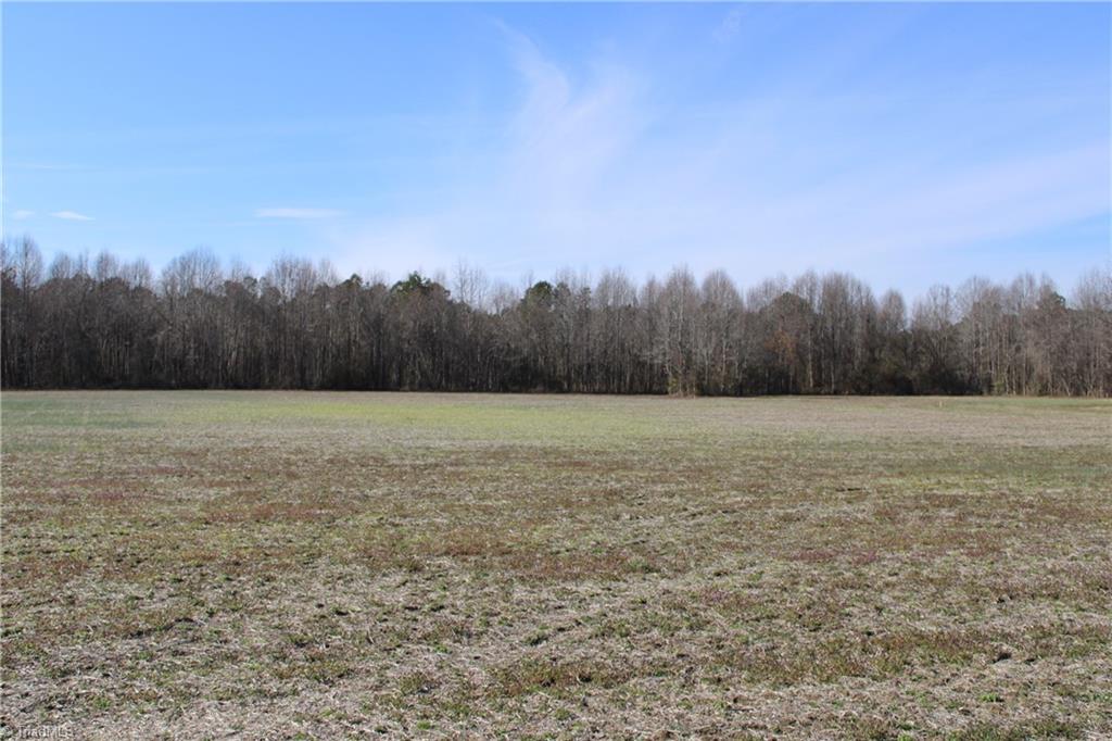 959 Scott Road Kenly, NC 27542 - Photo 2 of 3