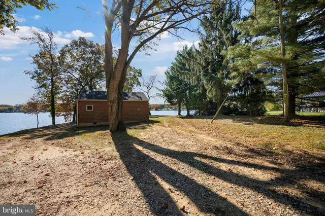 a view of a yard with trees