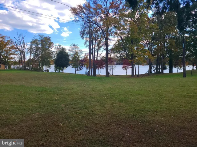 a view of dirt yard with a tree