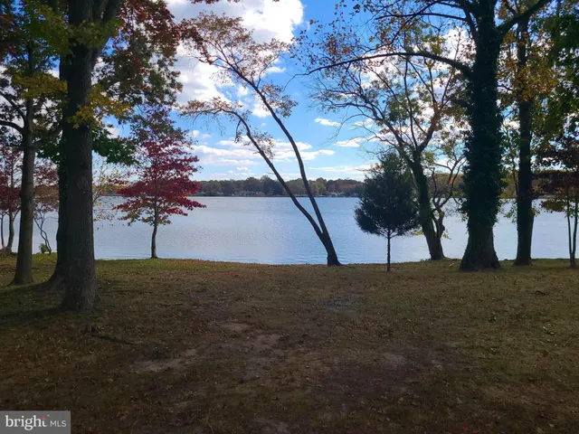 a view of lake from yard