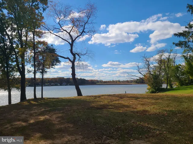 a view of a tree with a yard