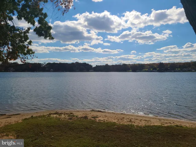 a view of a yard with an tree