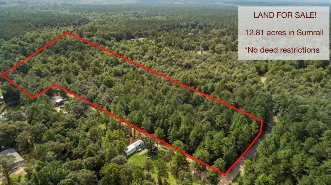 0 Walker Hill Road Sumrall, MS 39482 - Photo 1 of 1 Gallery Image 1