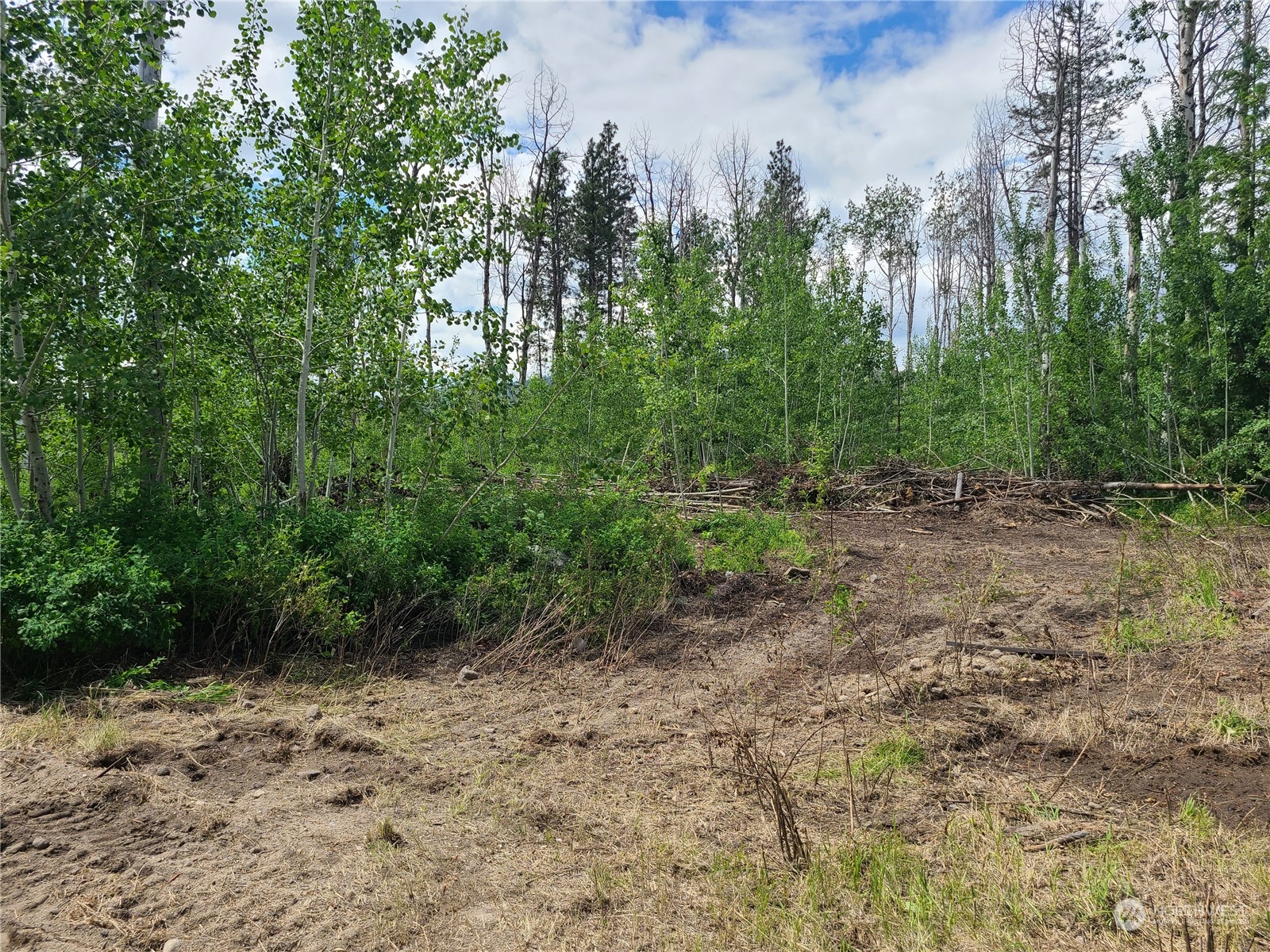 89 B Whiterock Road Okanogan, WA 98840 - Photo 2 of 9 Gallery Image 2