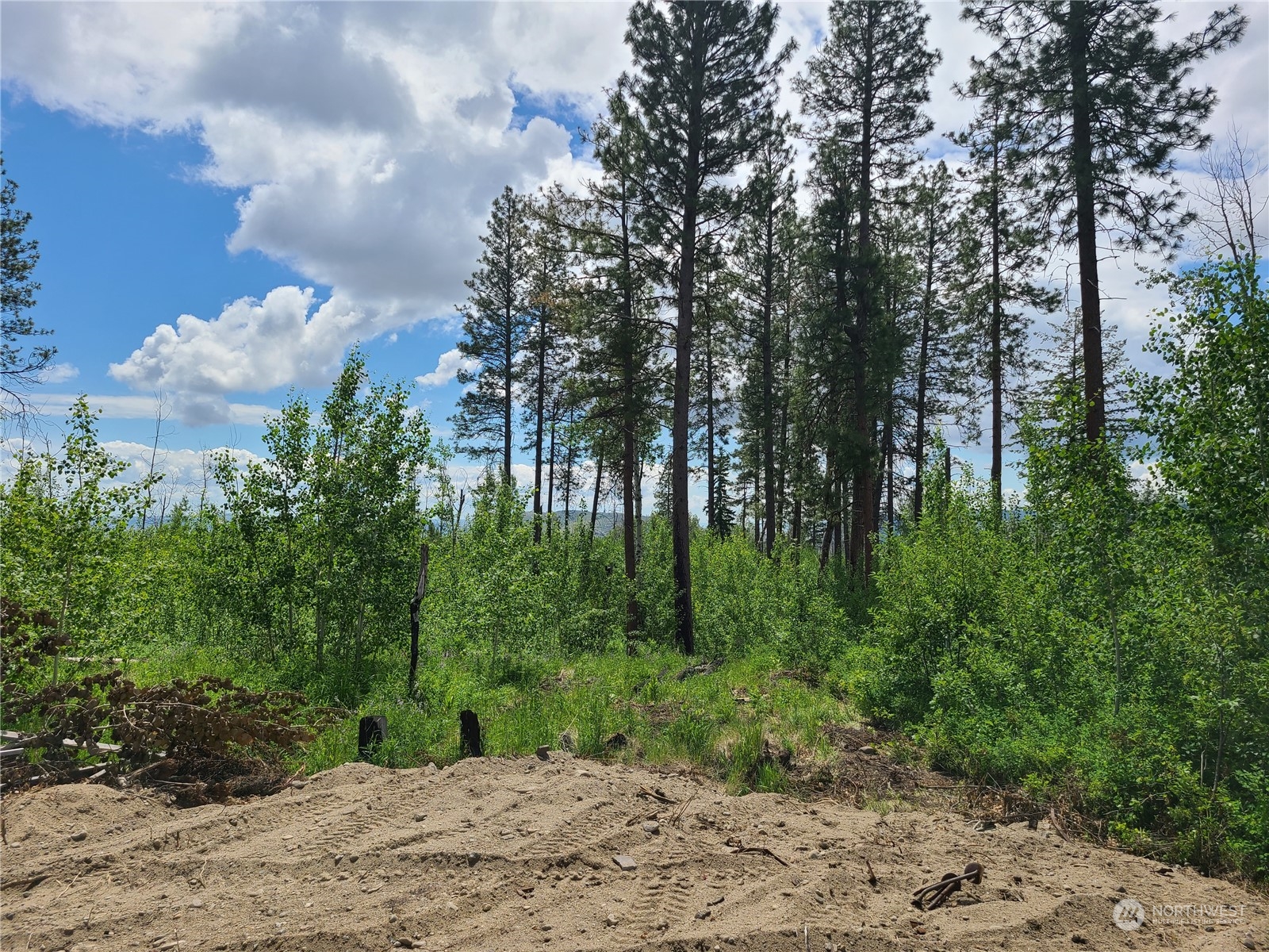 89 B Whiterock Road Okanogan, WA 98840 - Photo 3 of 9 Gallery Image 3