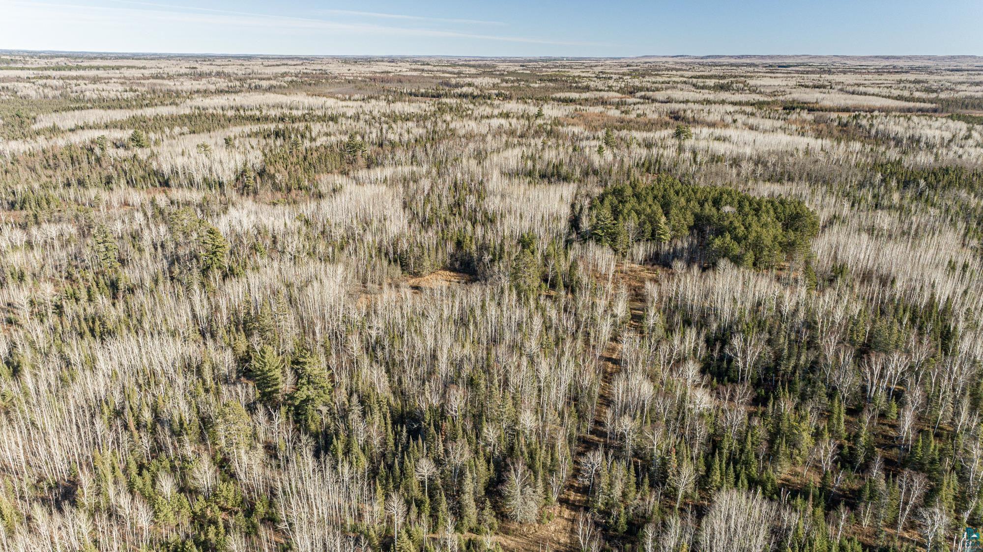 2 Isabella Mn 55607 Isabella, MN 55607 - Photo 11 of 50