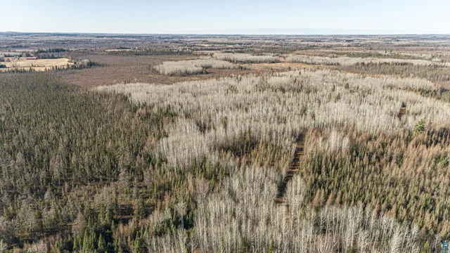 $9,900,000 | 2 Isabella Mn 55607, Isabella, MN 55607