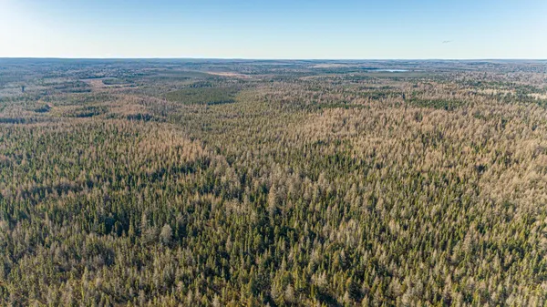 $9,900,000 | 2 Isabella Mn 55607, Isabella, MN 55607