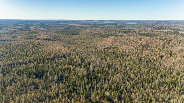 $9,900,000 | 2 Isabella Mn 55607, Isabella, MN 55607