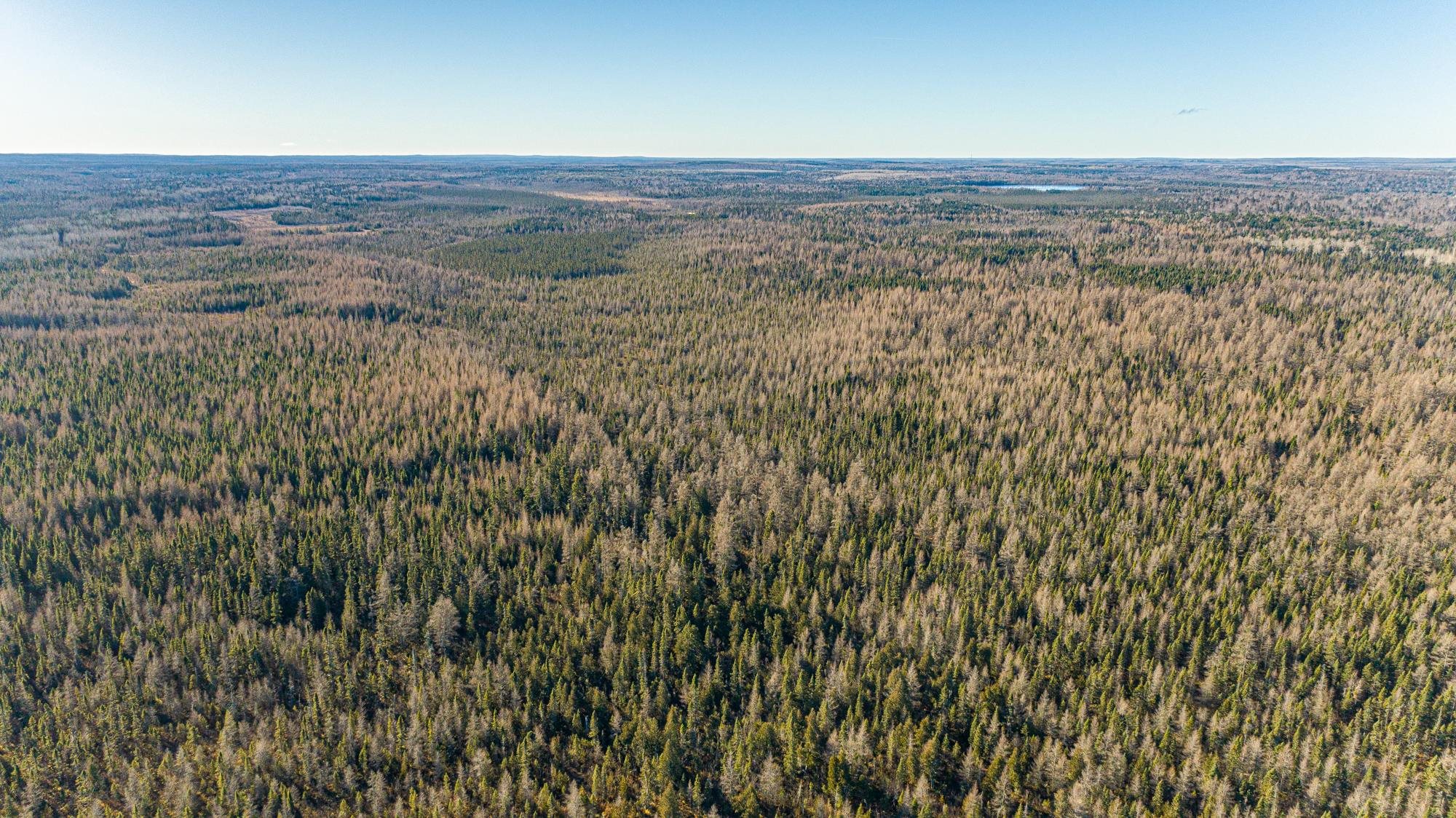 2 Isabella Mn 55607 Isabella, MN 55607 - Photo 16 of 50