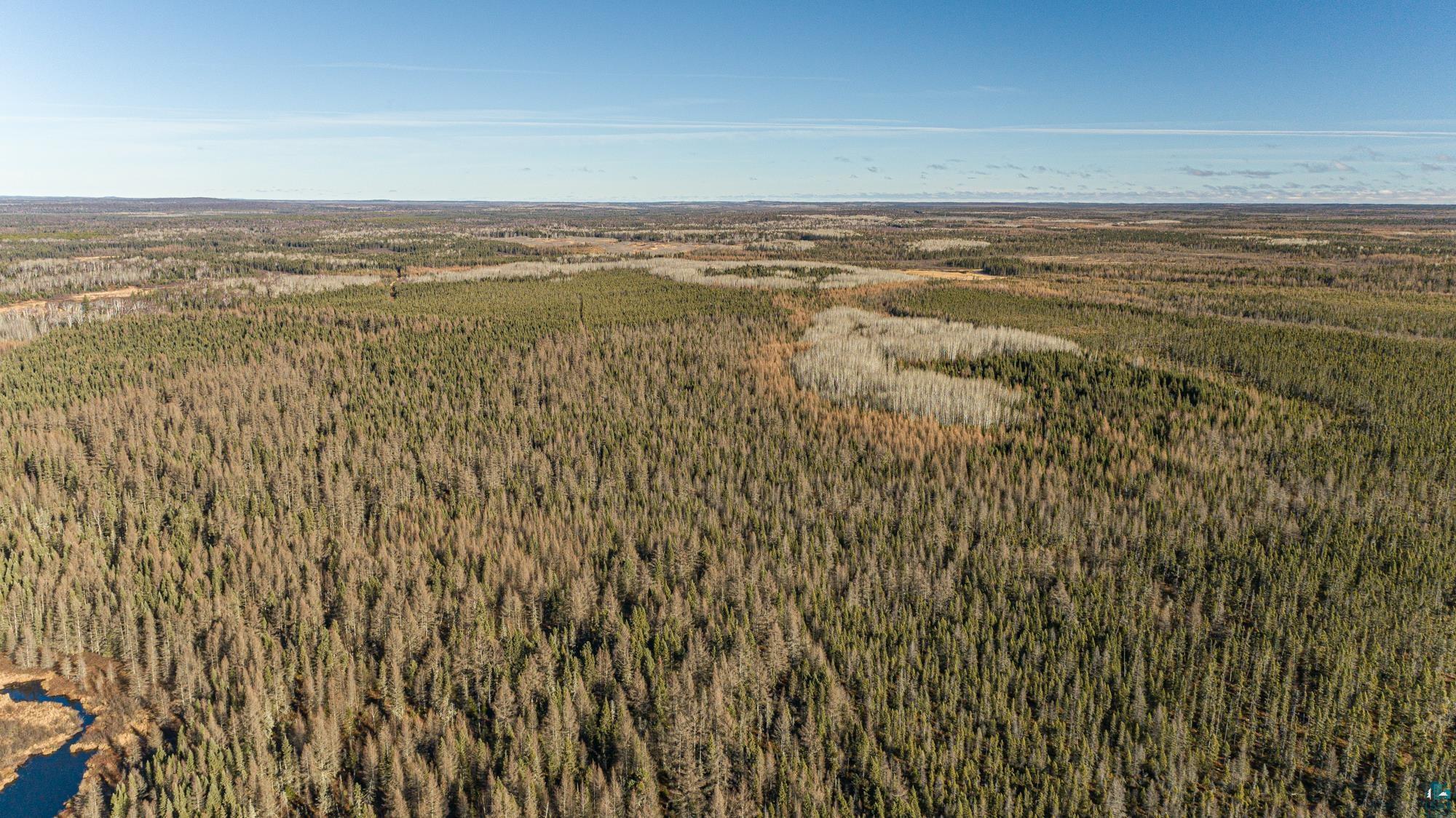 2 Isabella Mn 55607 Isabella, MN 55607 - Photo 17 of 50