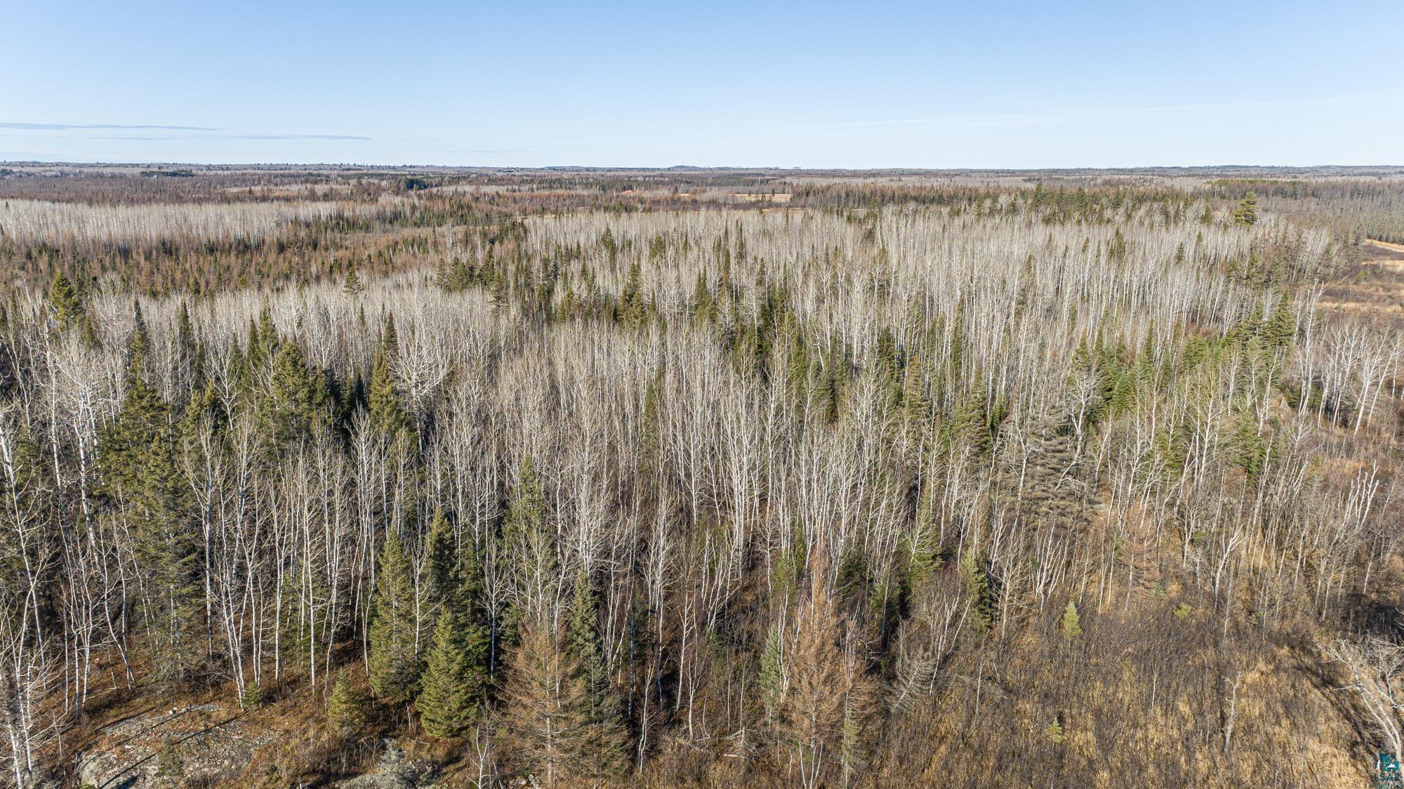 2 Isabella Mn 55607 Isabella, MN 55607 - Photo 28 of 50