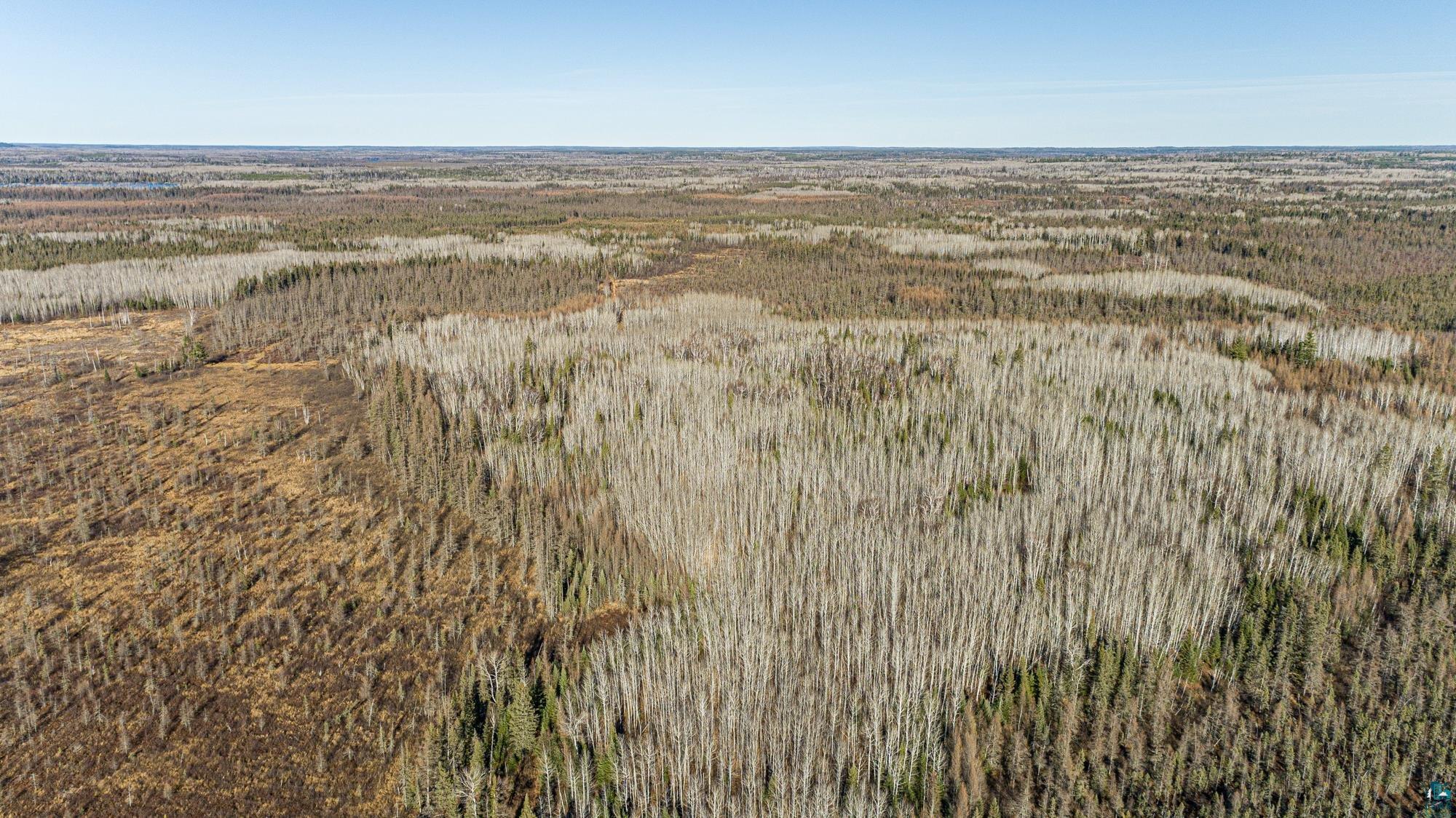 2 Isabella Mn 55607 Isabella, MN 55607 - Photo 40 of 50