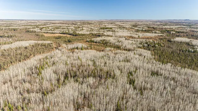 $9,900,000 | 2 Isabella Mn 55607, Isabella, MN 55607