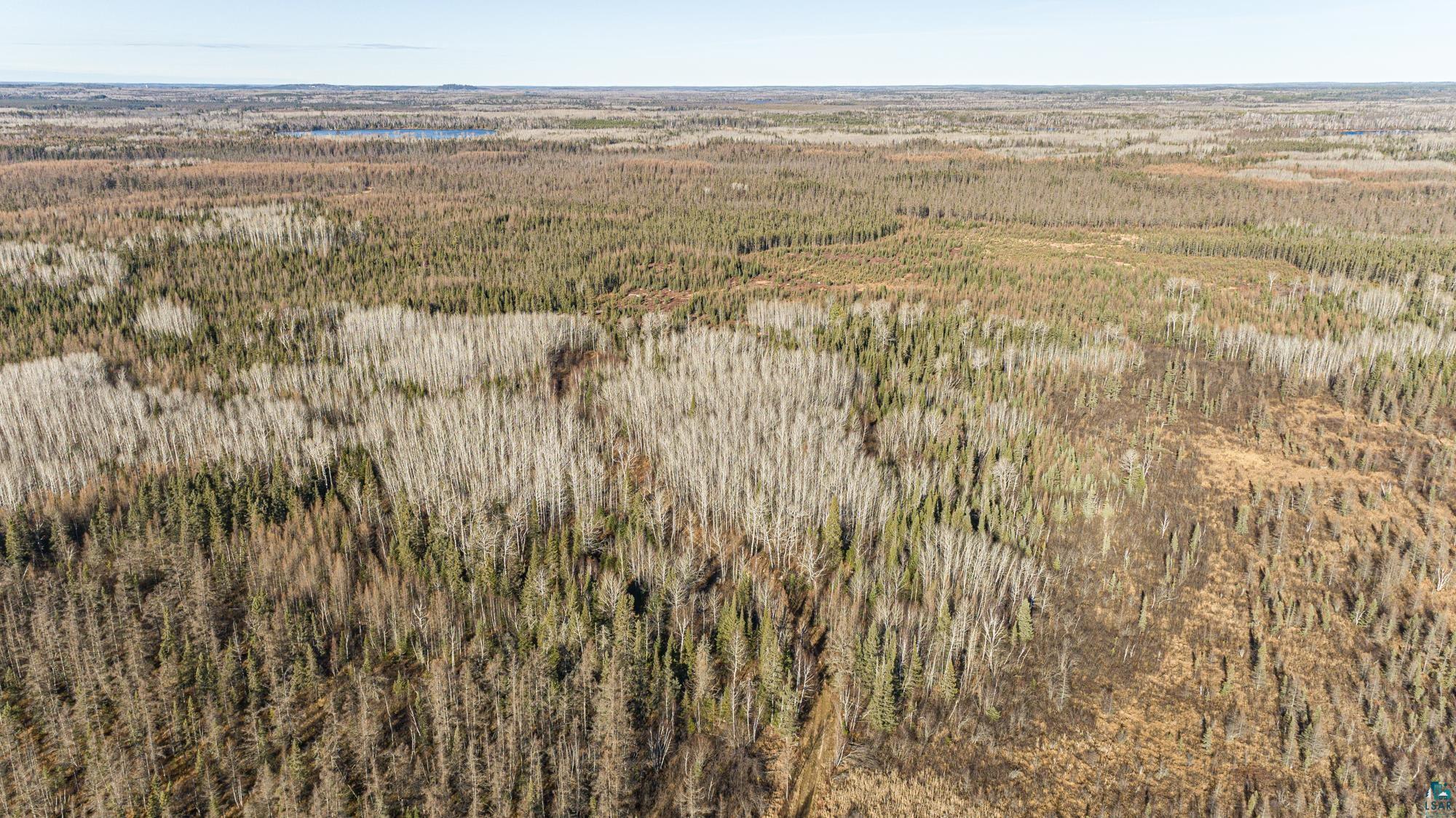 2 Isabella Mn 55607 Isabella, MN 55607 - Photo 45 of 50