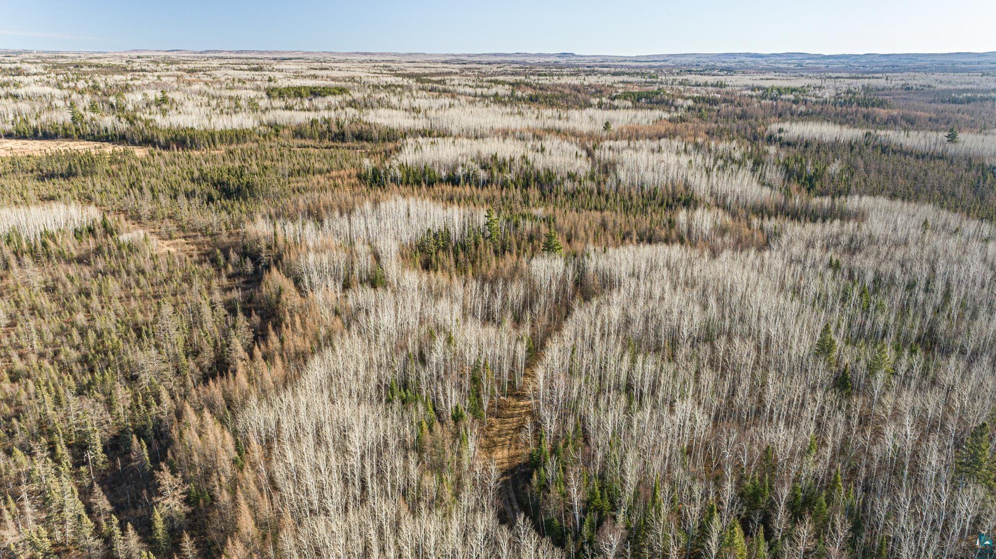 2 Isabella Mn 55607 Isabella, MN 55607 - Photo 48 of 50