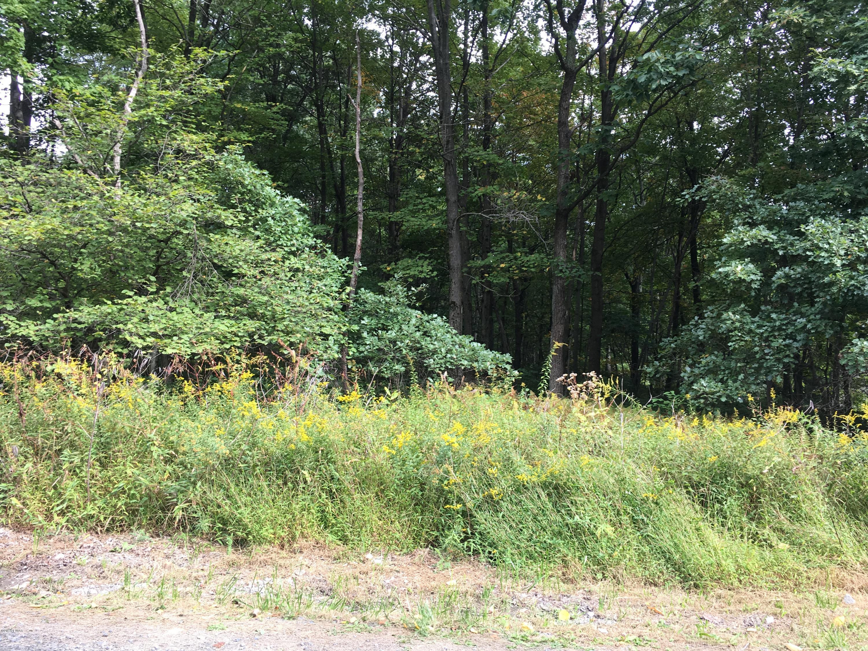 Lot 85 Galahad Road Greeley, PA 18425 - Photo 2 of 5