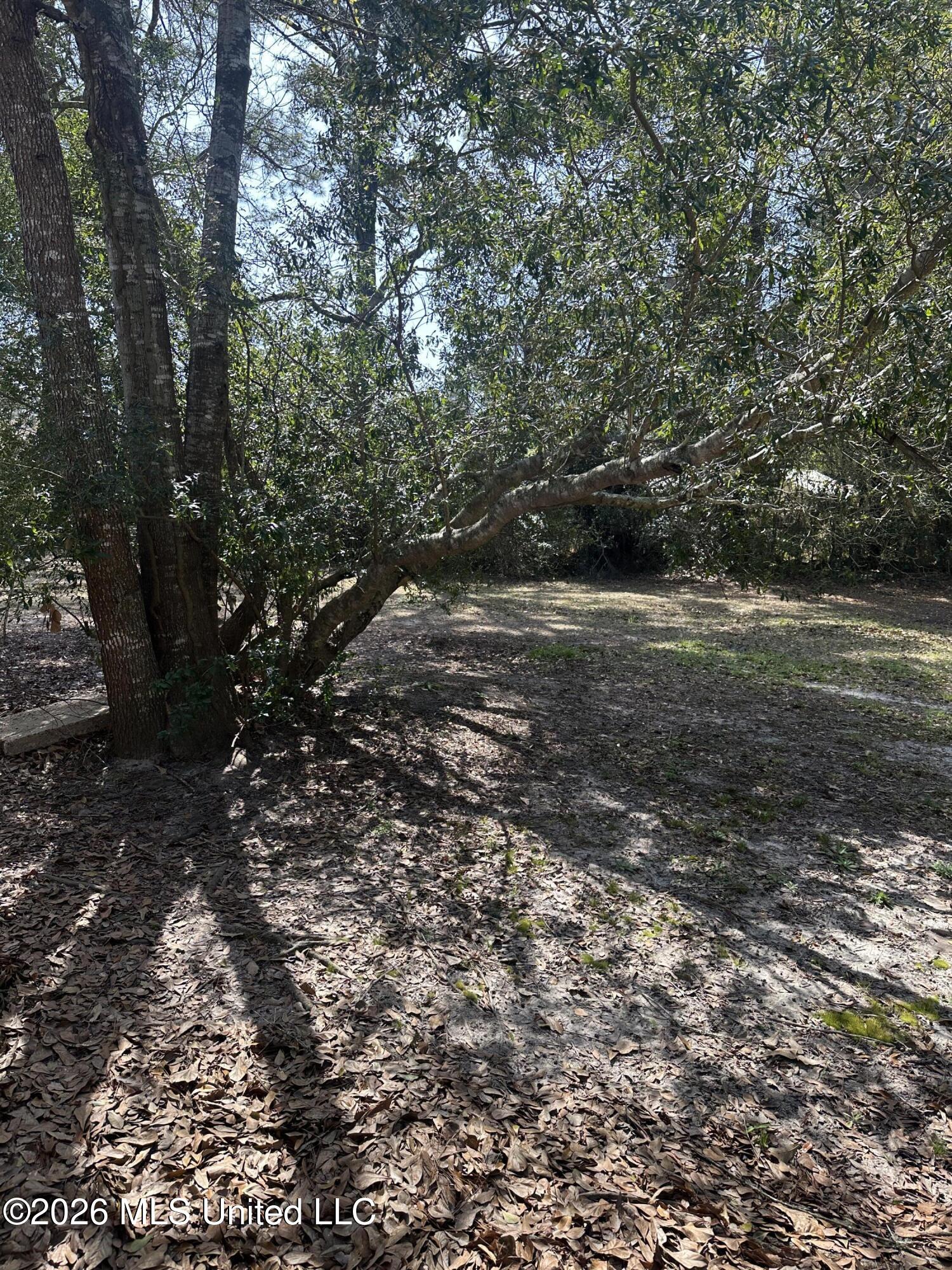 2735 Ridgeway Drive Gautier, MS 39553 - Photo 13 of 14 IMG_5052