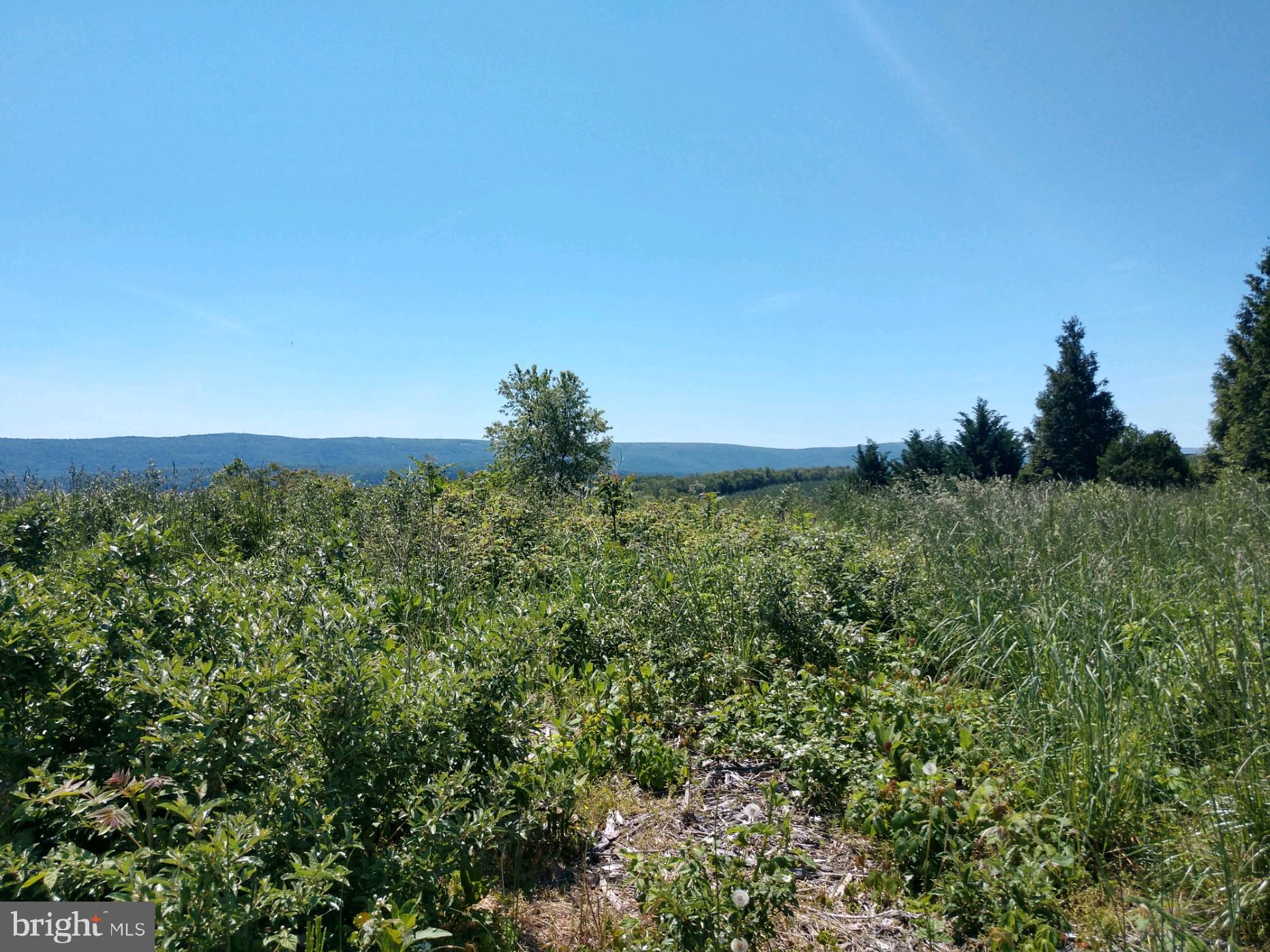 Lot 15 Parishville Road Gore, VA 22637 - Photo 2 of 5 Gallery Image 2
