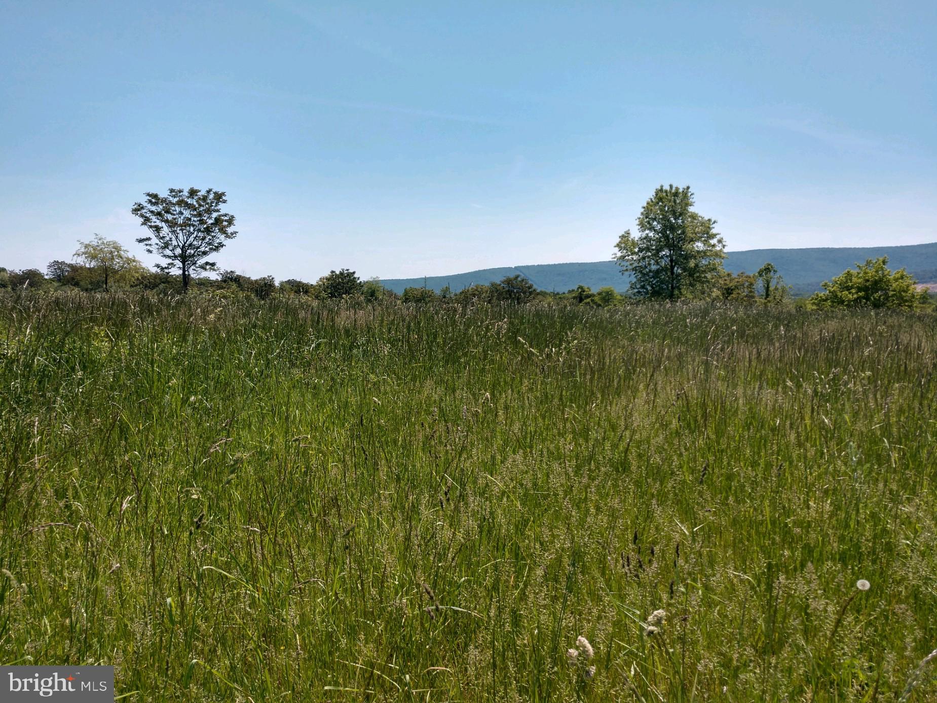 Lot 15 Parishville Road Gore, VA 22637 - Photo 3 of 5 Gallery Image 3