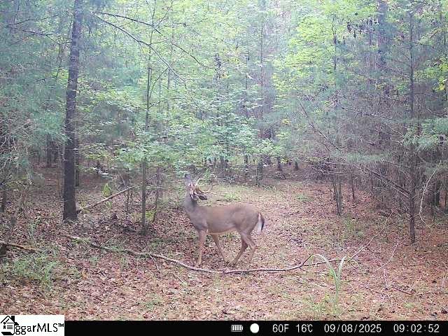 0 Simpson Mill Road Laurens, SC 29360 - Photo 2 of 18 Gallery Image 2